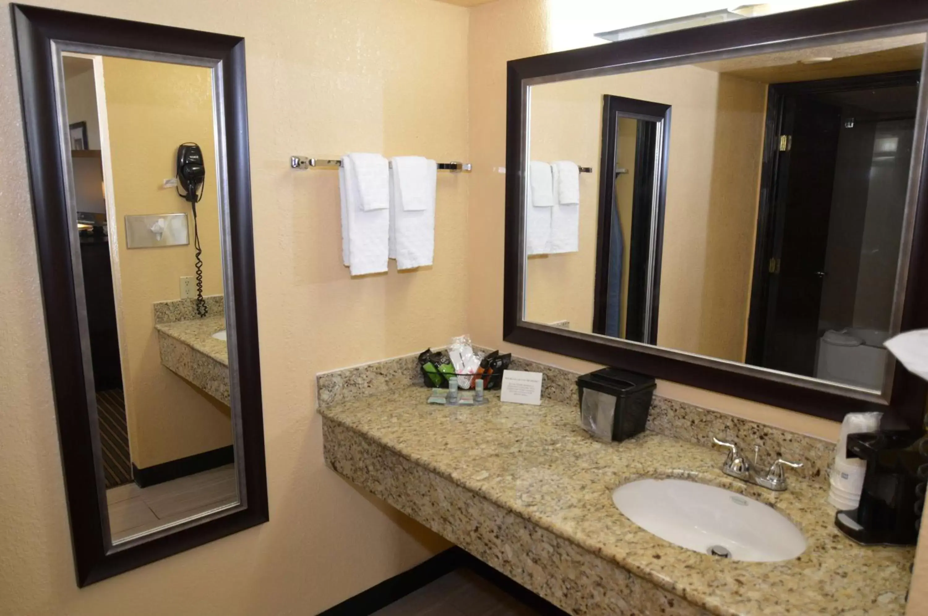 Bathroom in Best Western Inn of Del Rio