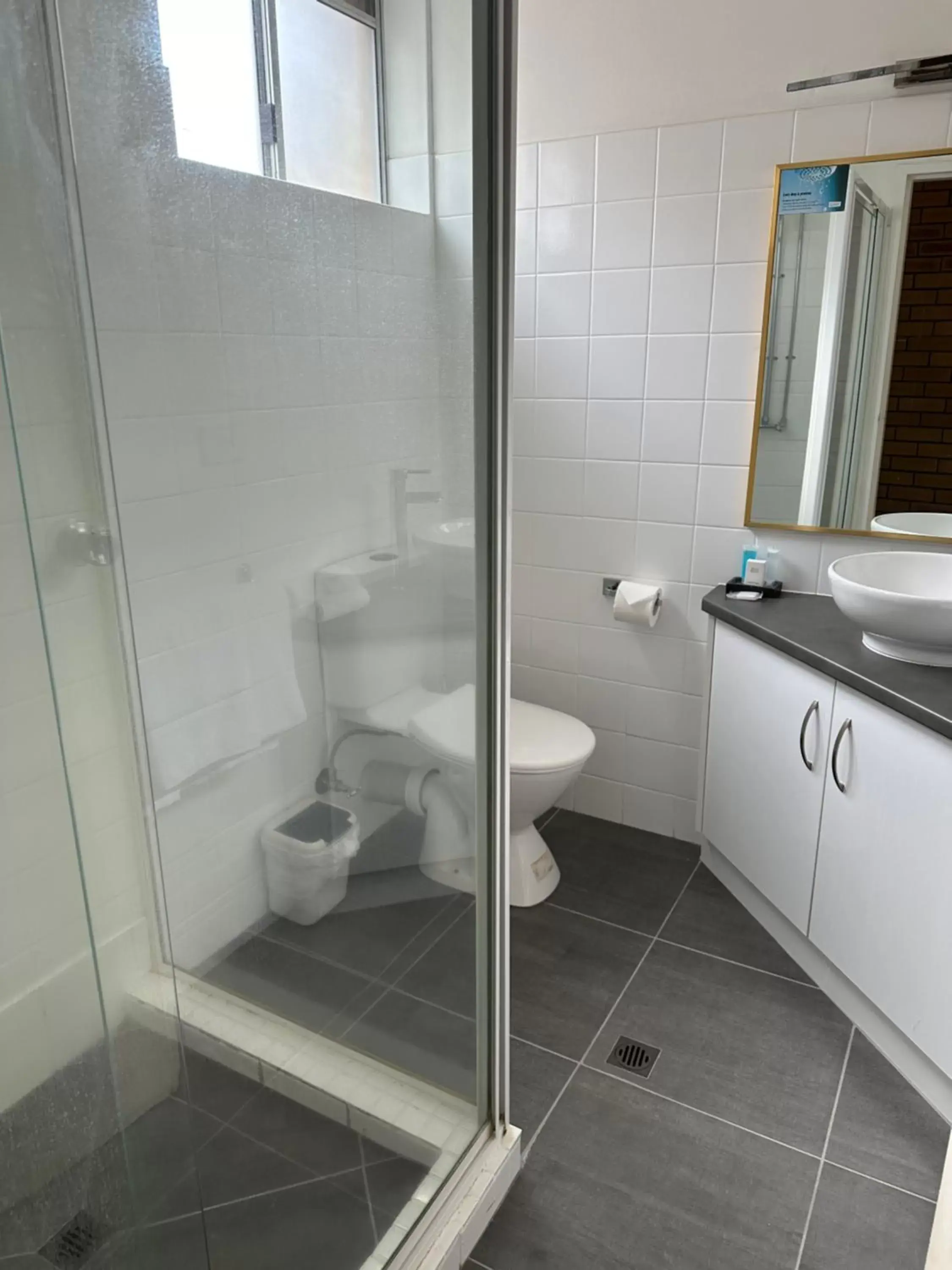 Toilet, Bathroom in Blue Violet Motor Inn