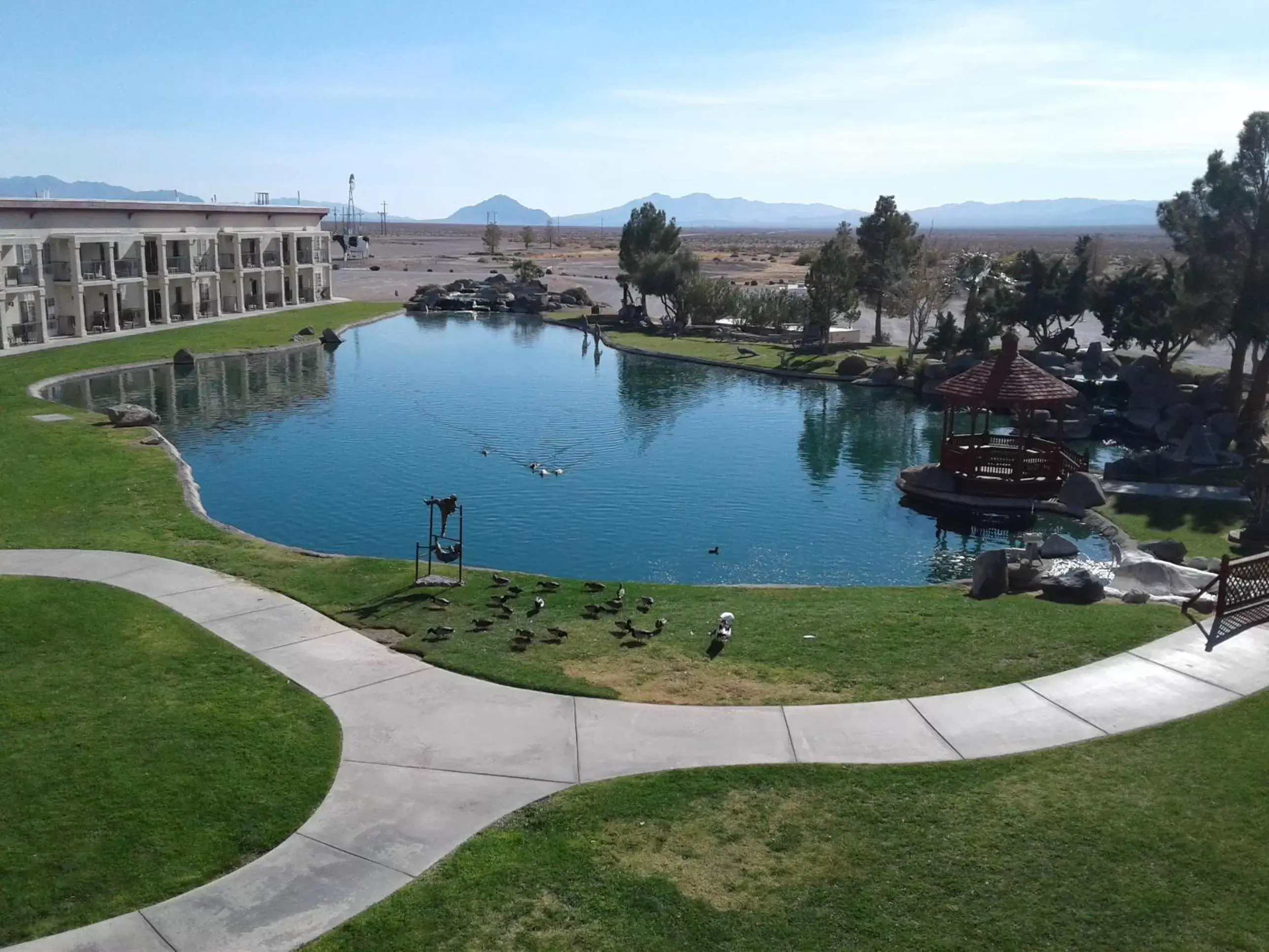 Area and facilities, Swimming Pool in Longstreet Inn & Casino