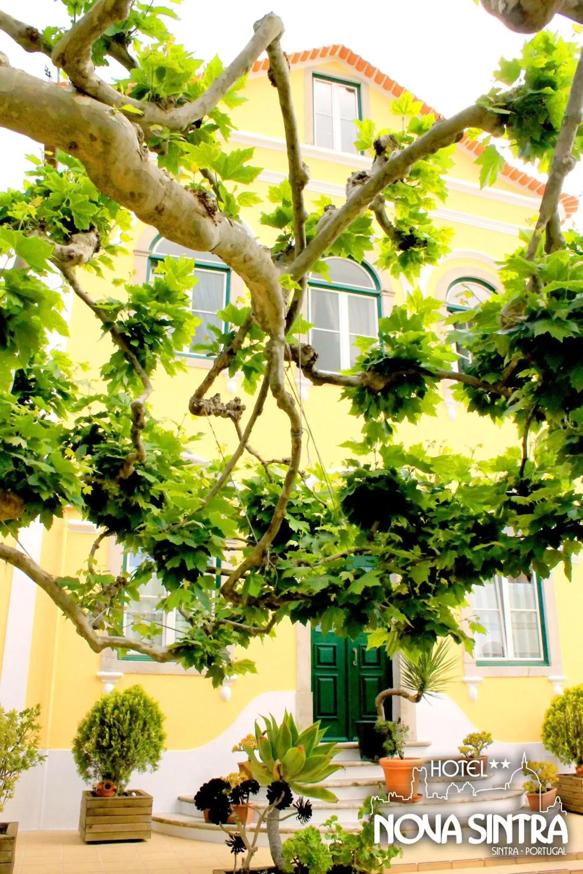 Facade/entrance, Garden in Hotel Nova Sintra