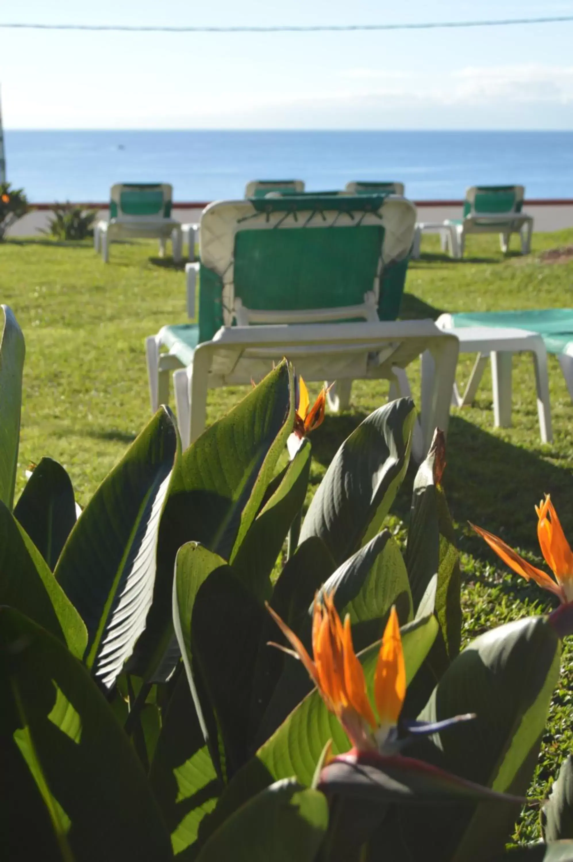 Garden view in Quinta Da Penha De Franca