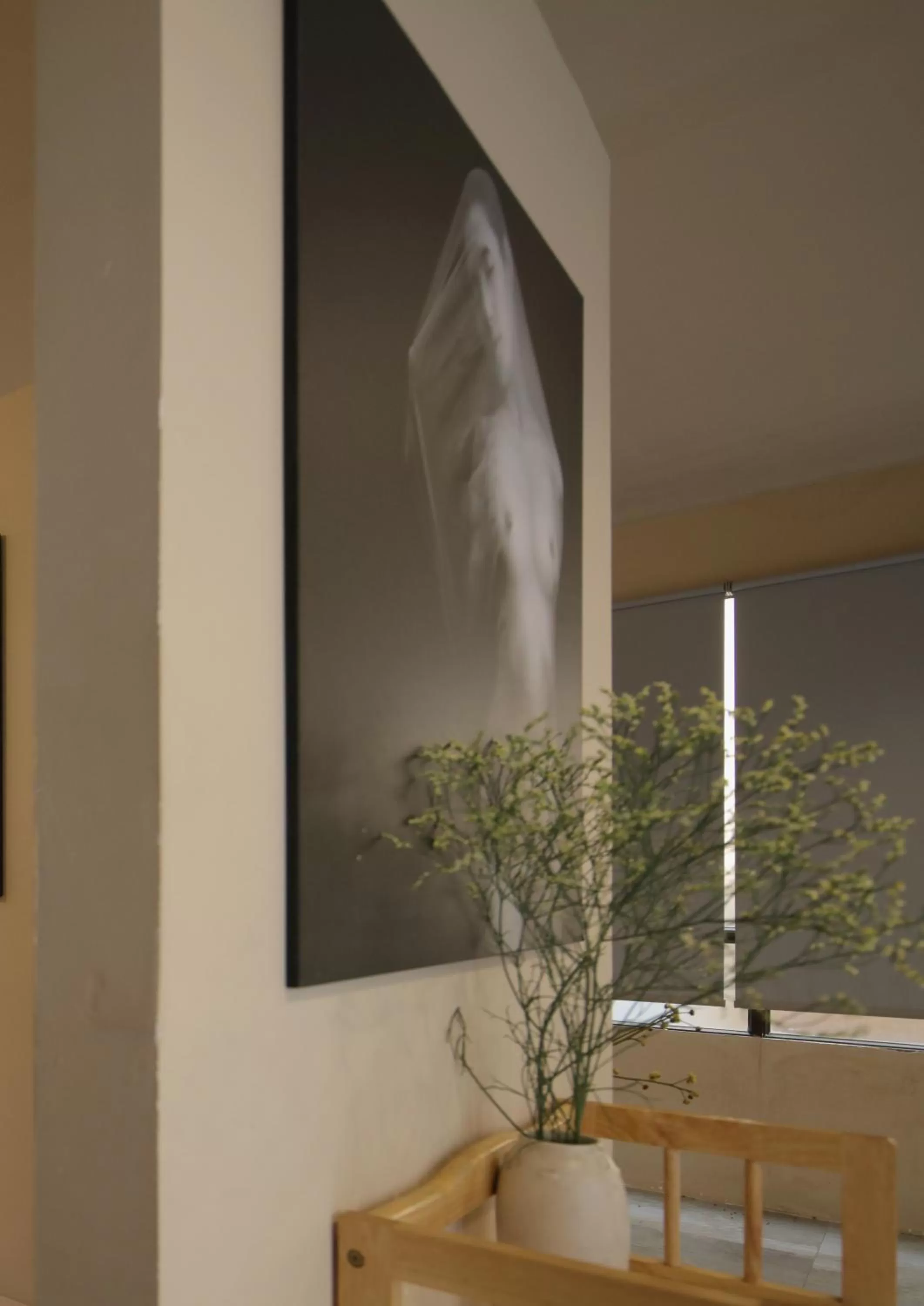 Library in The First Ba Trieu