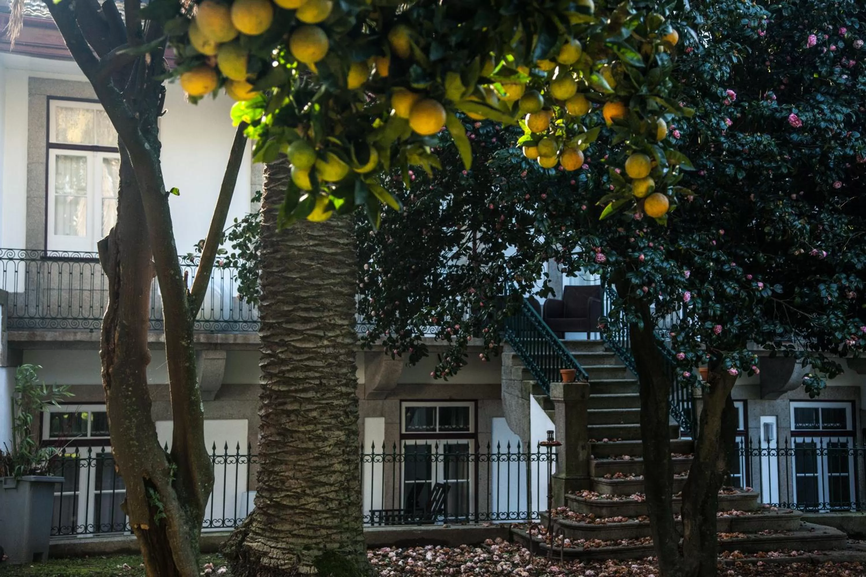 Facade/entrance in Oporto Loft