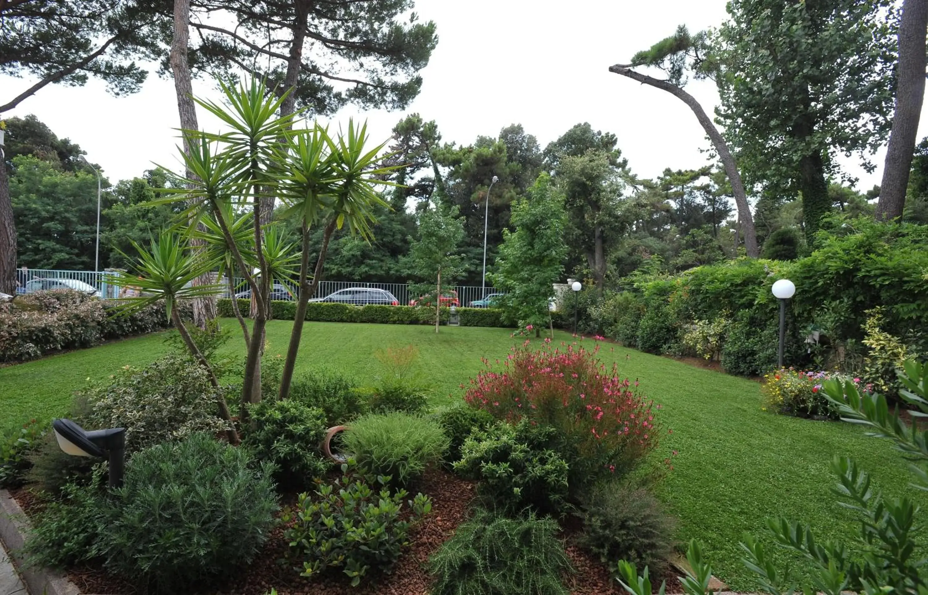 Garden in Hotel Riviera Blu