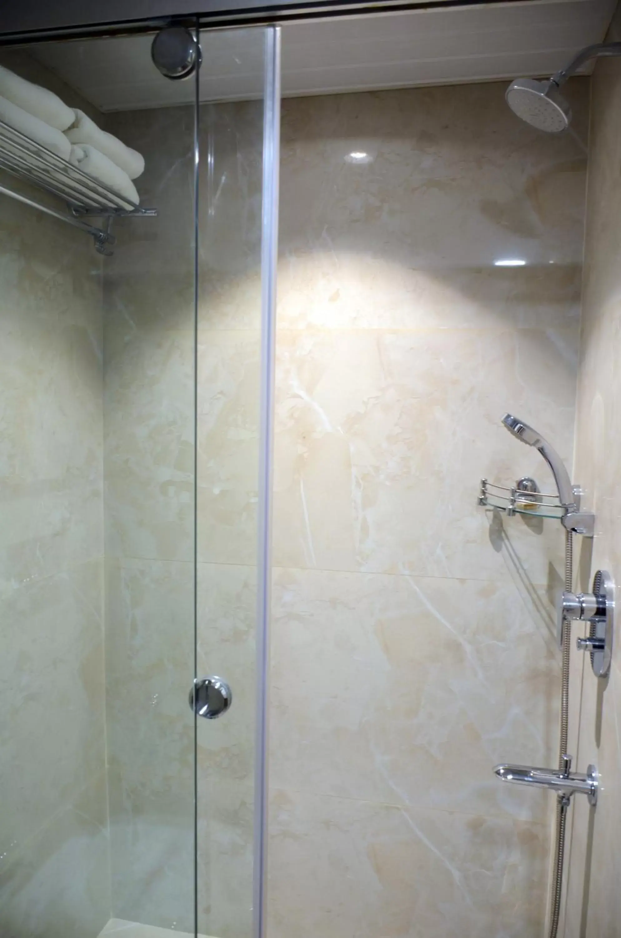Shower, Bathroom in Hotel Radiance