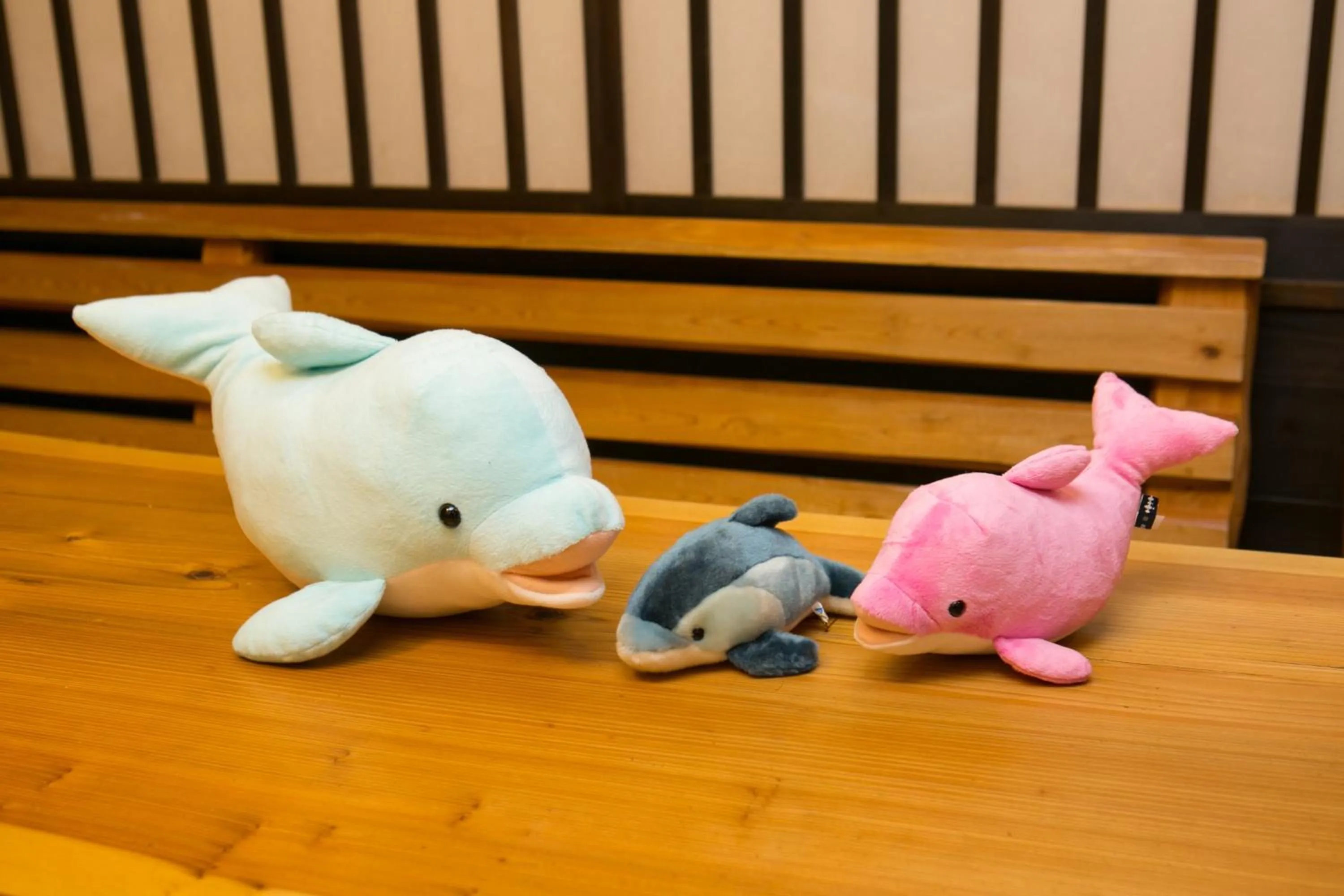 Tabist Sparkling Dolphins Inn Kyoto