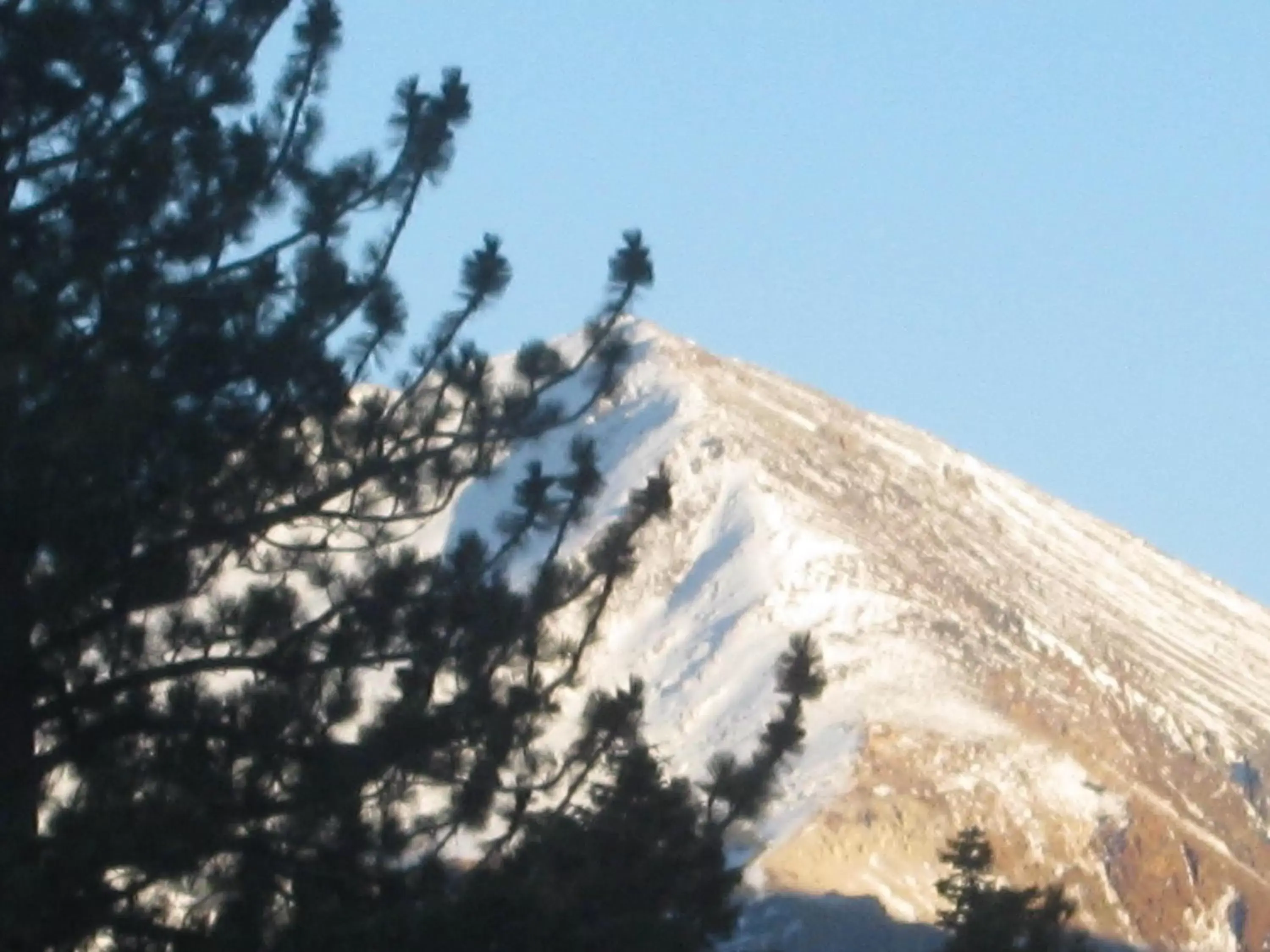 Natural landscape, Winter in The Mammoth Creek Inn