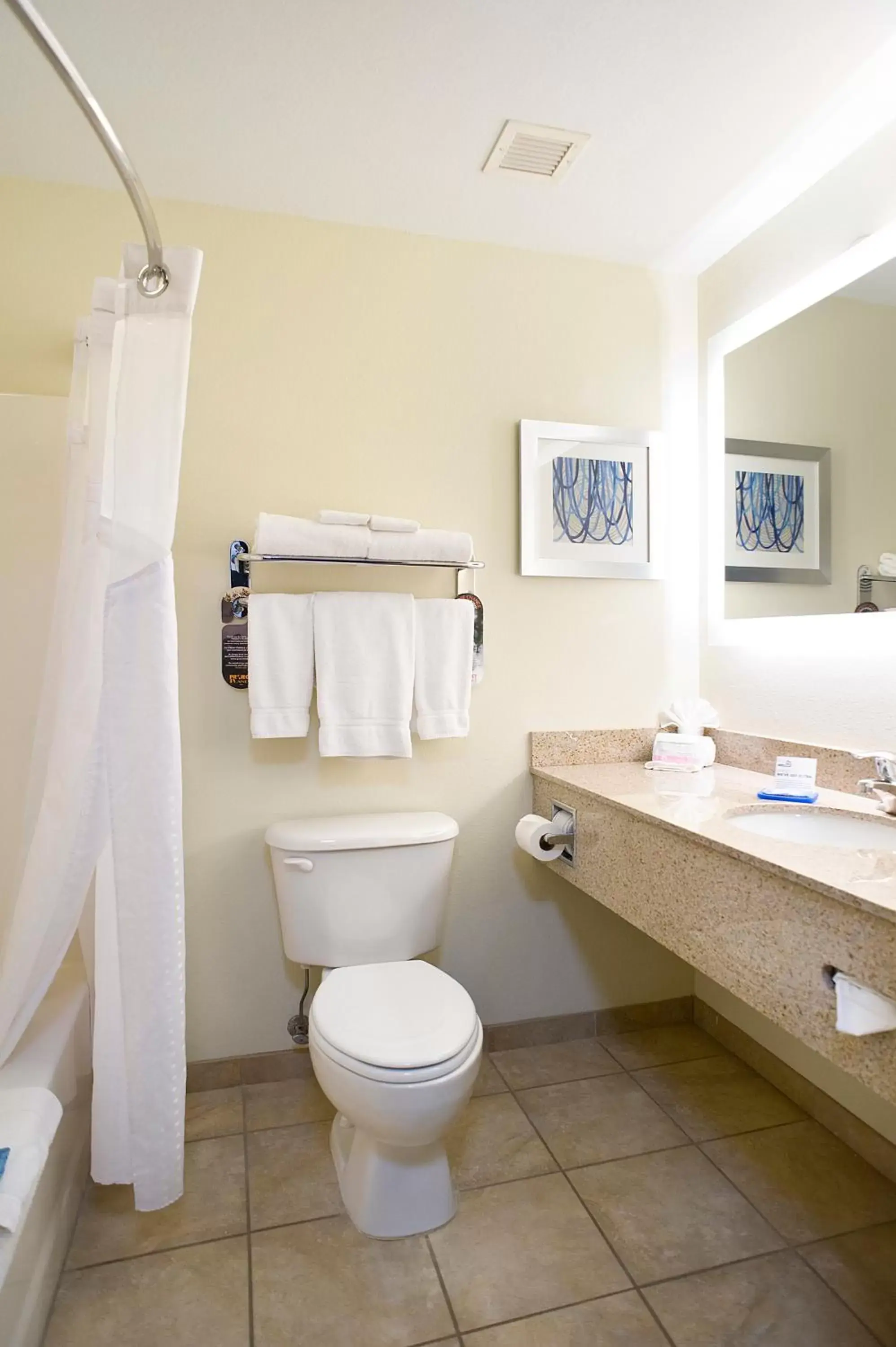 Bathroom in Holiday Inn Express Hotel & Suites Brookings, an IHG Hotel