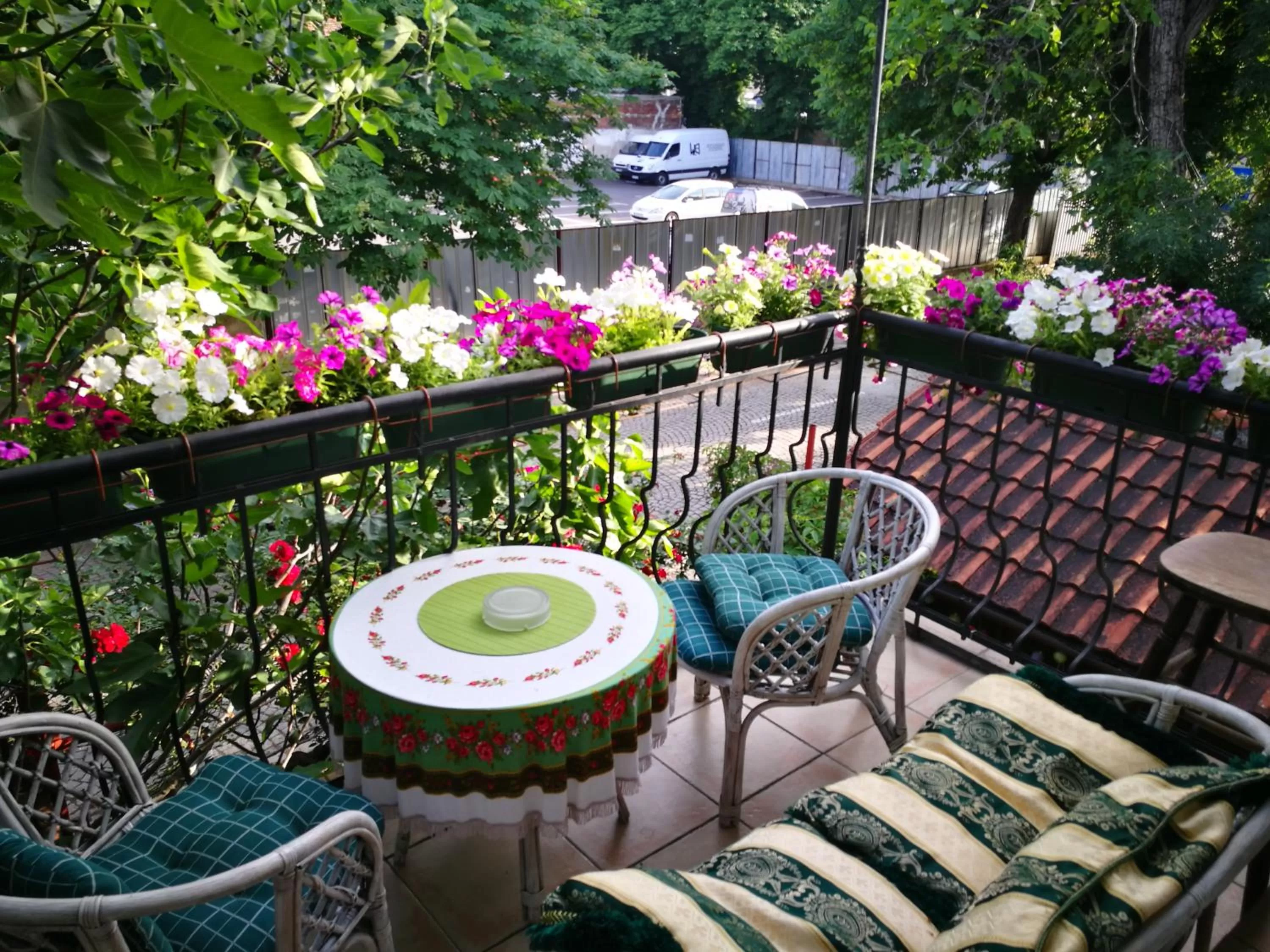 Balcony/Terrace in Hotel Paradise