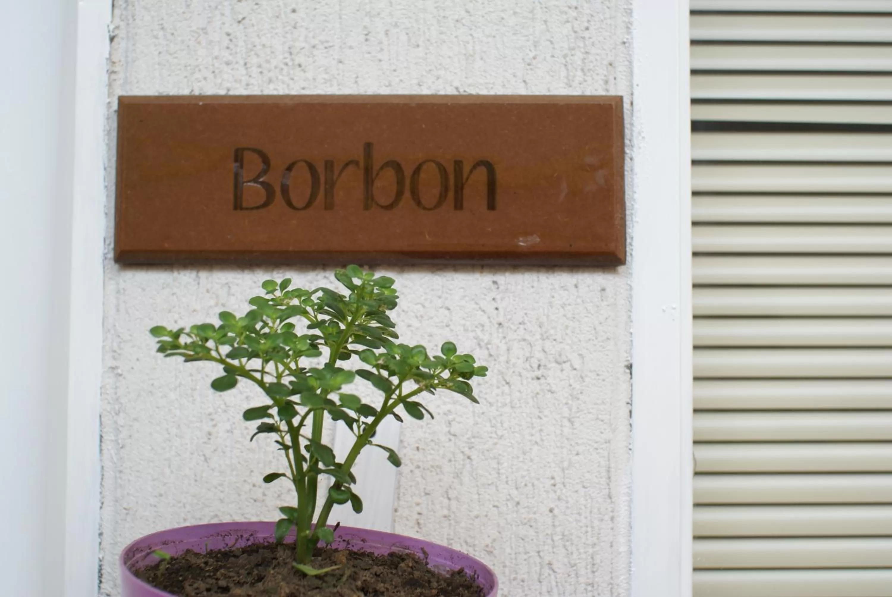 Casa Azul Boutique Hostel