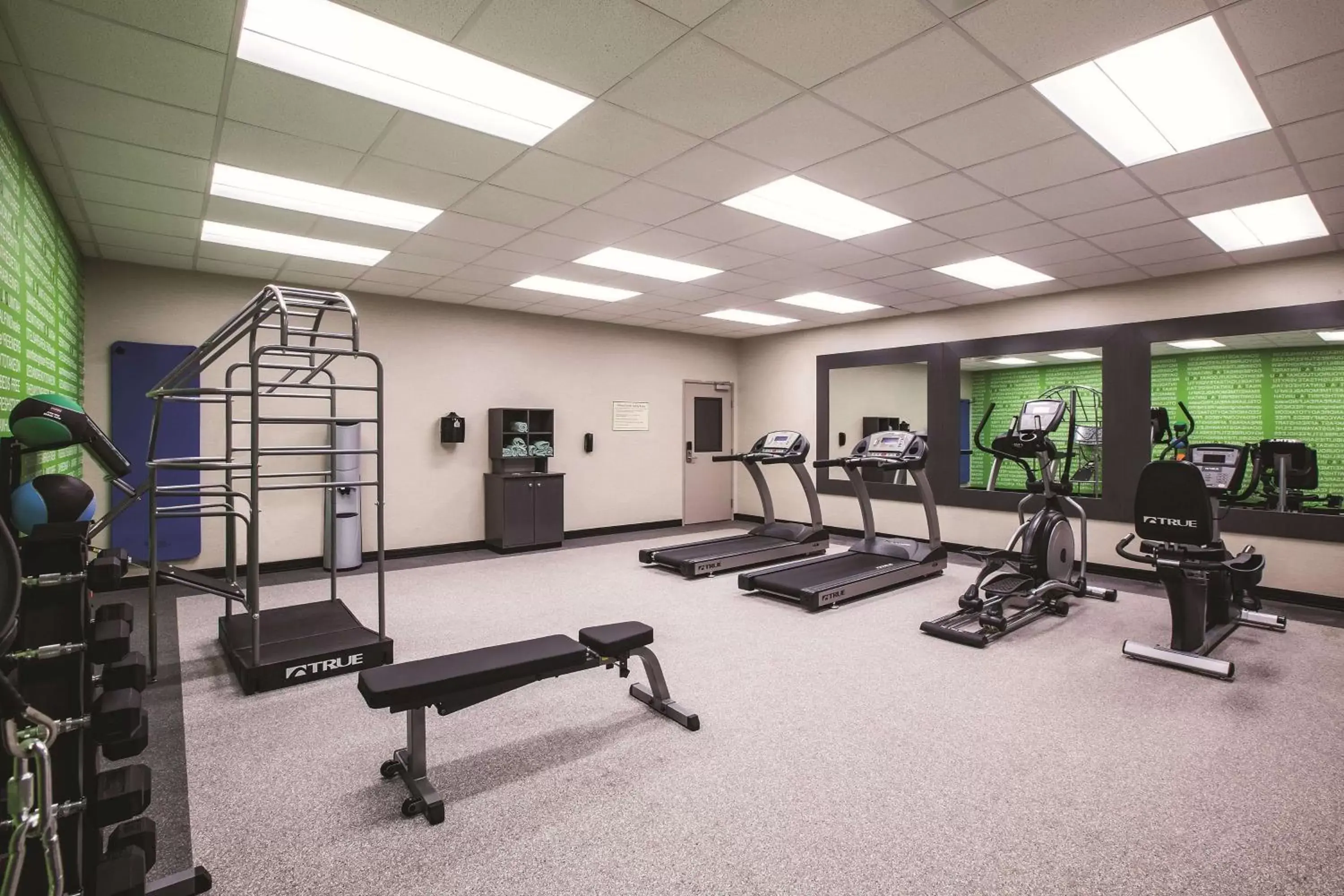 Fitness centre/facilities, Fitness Center/Facilities in La Quinta by Wyndham Dallas Northeast-Arboretum