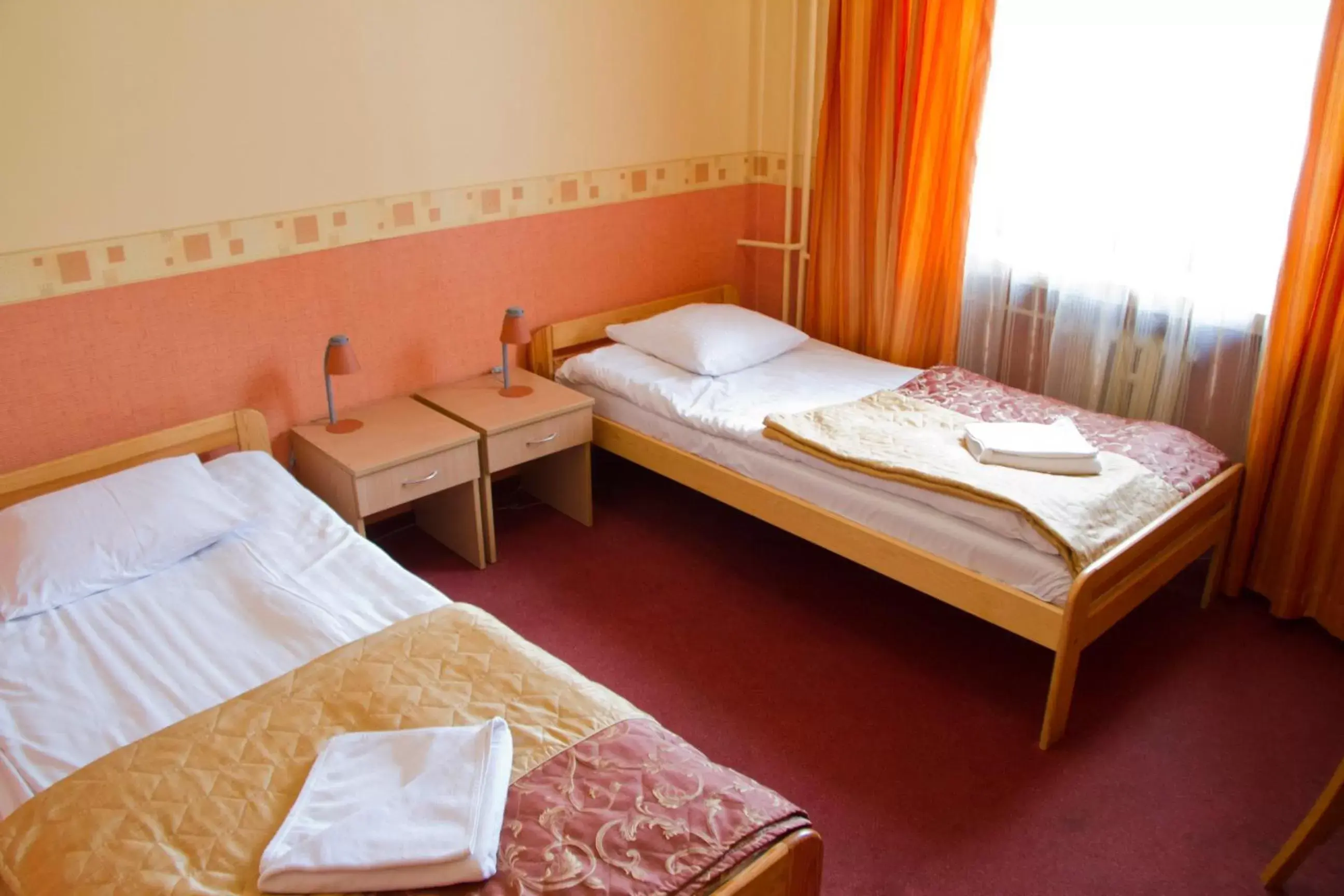 Double or Twin Room in Hotel Iskra Double or Twin Room in Hotel Iskra