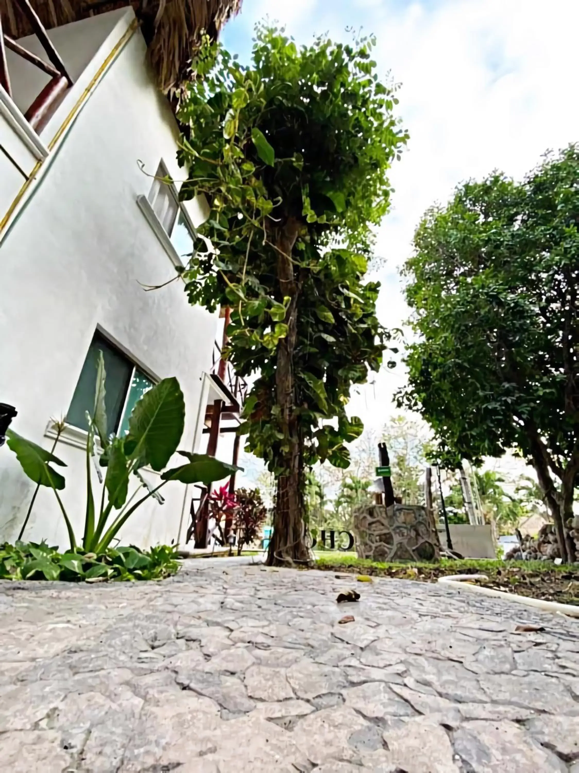 Garden, Property Building in Hotel Pancho Villas Bacalar Vista a Laguna