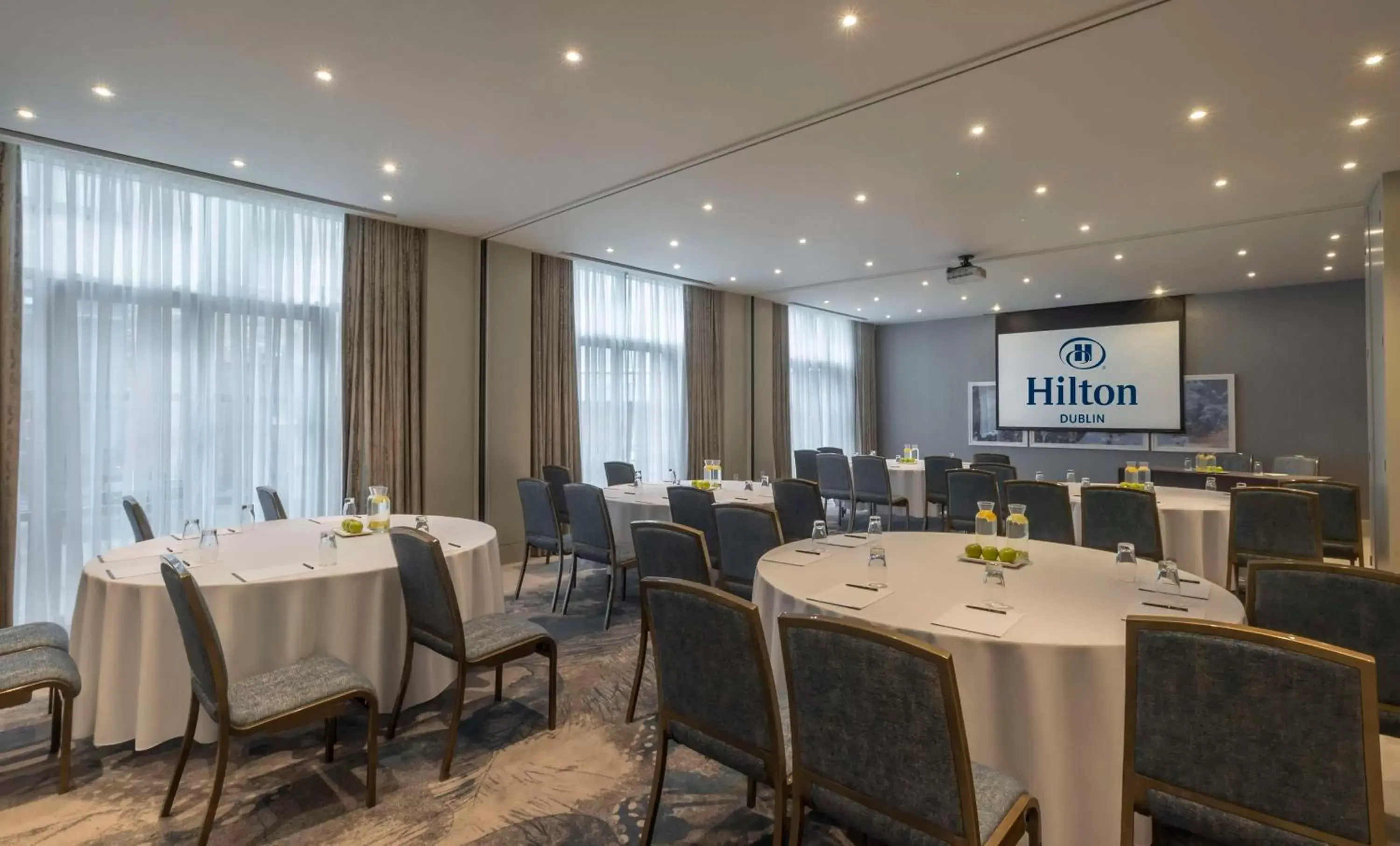 Meeting/conference room in Hilton Dublin