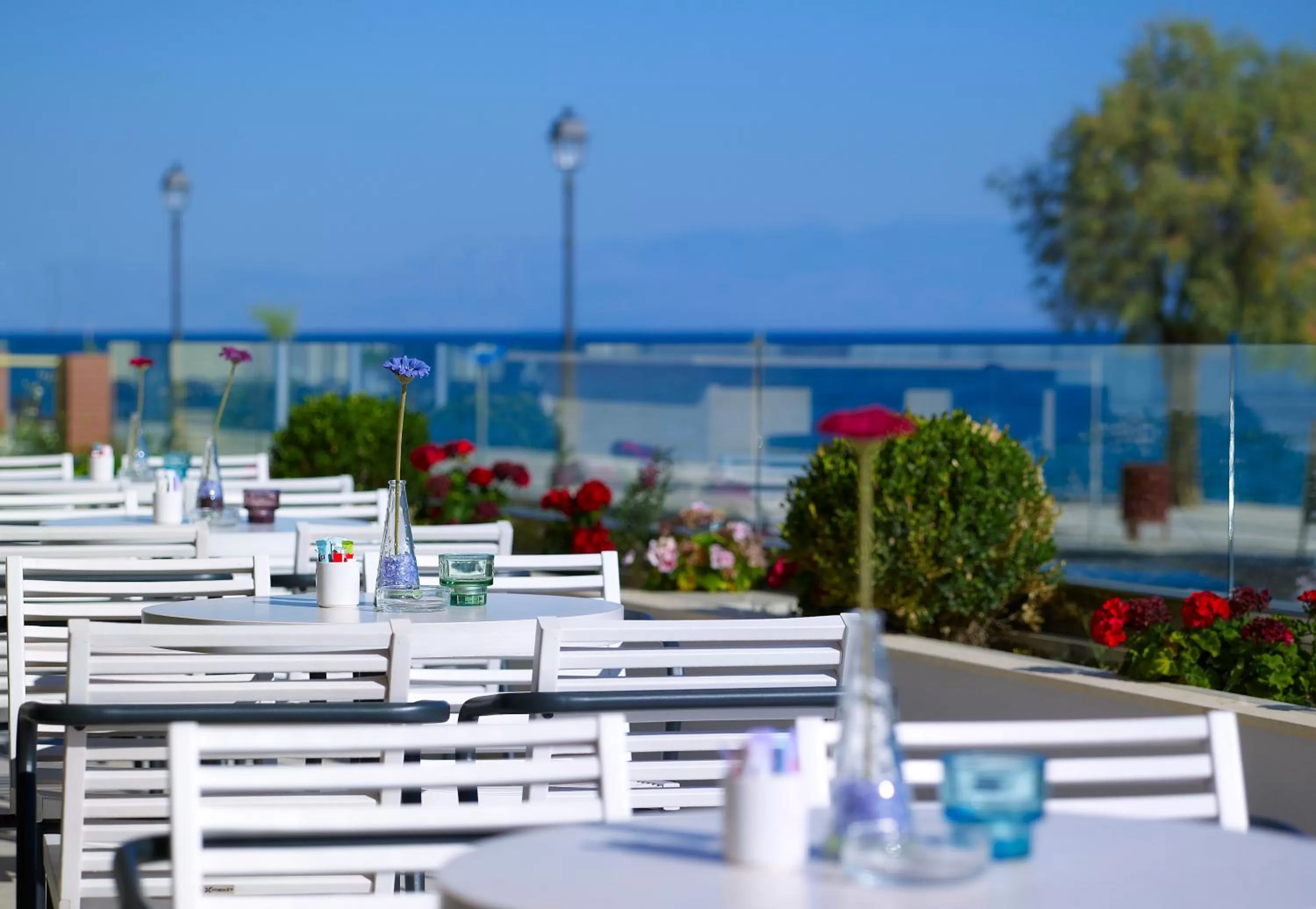 Restaurant/places to eat in Arion Hotel