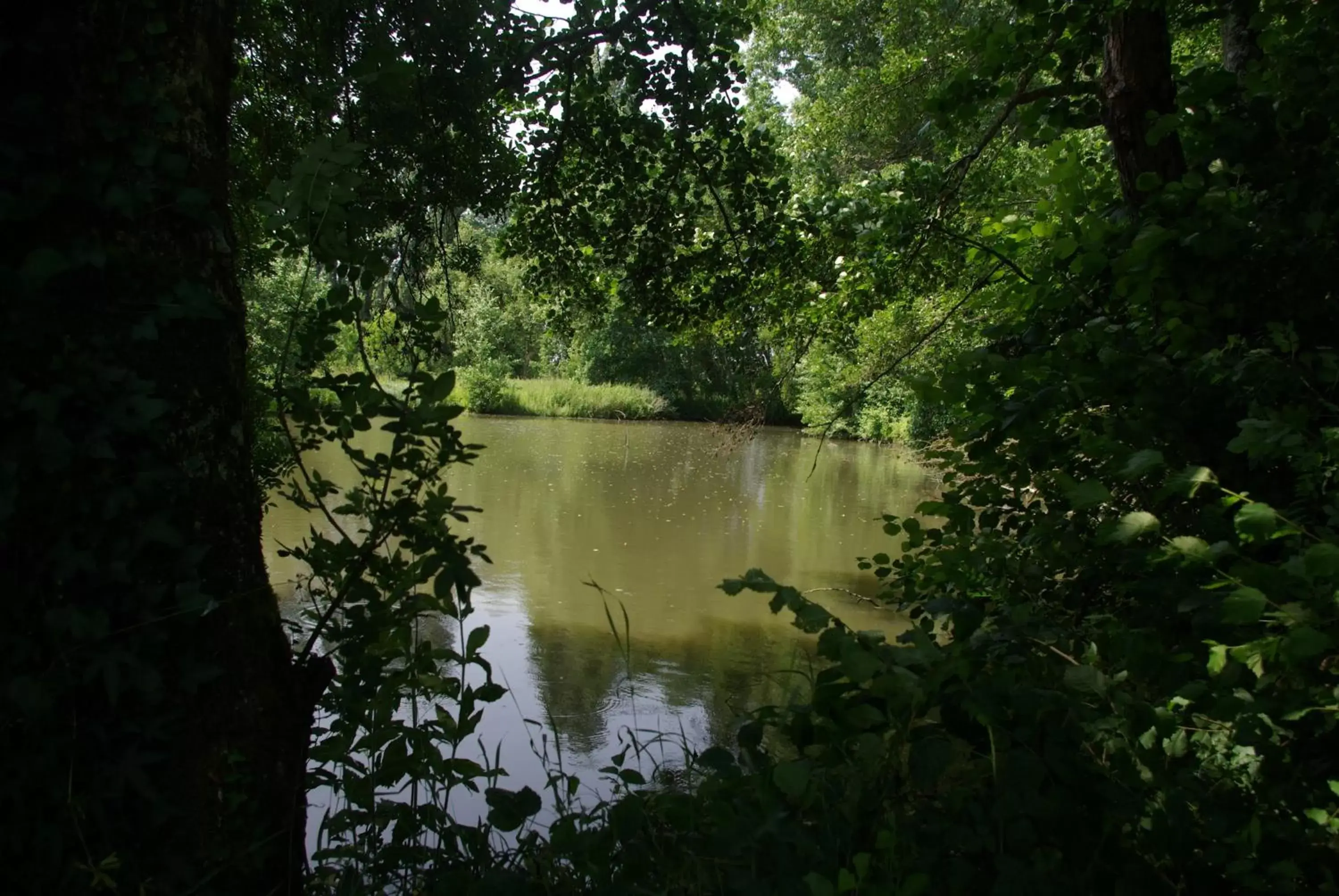 River View in Domaine de Planchoury