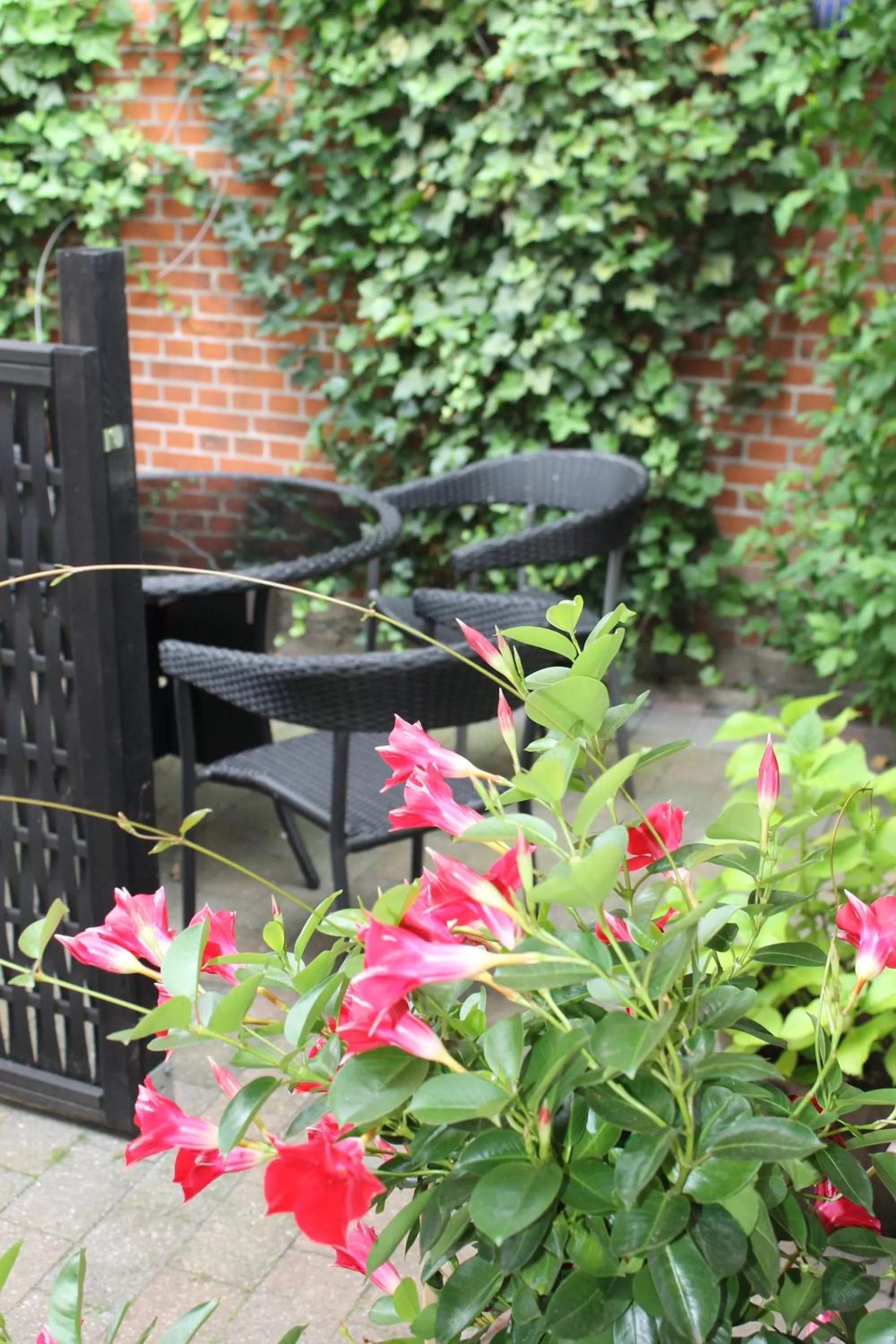 Amalie Bed and Breakfast & Apartments