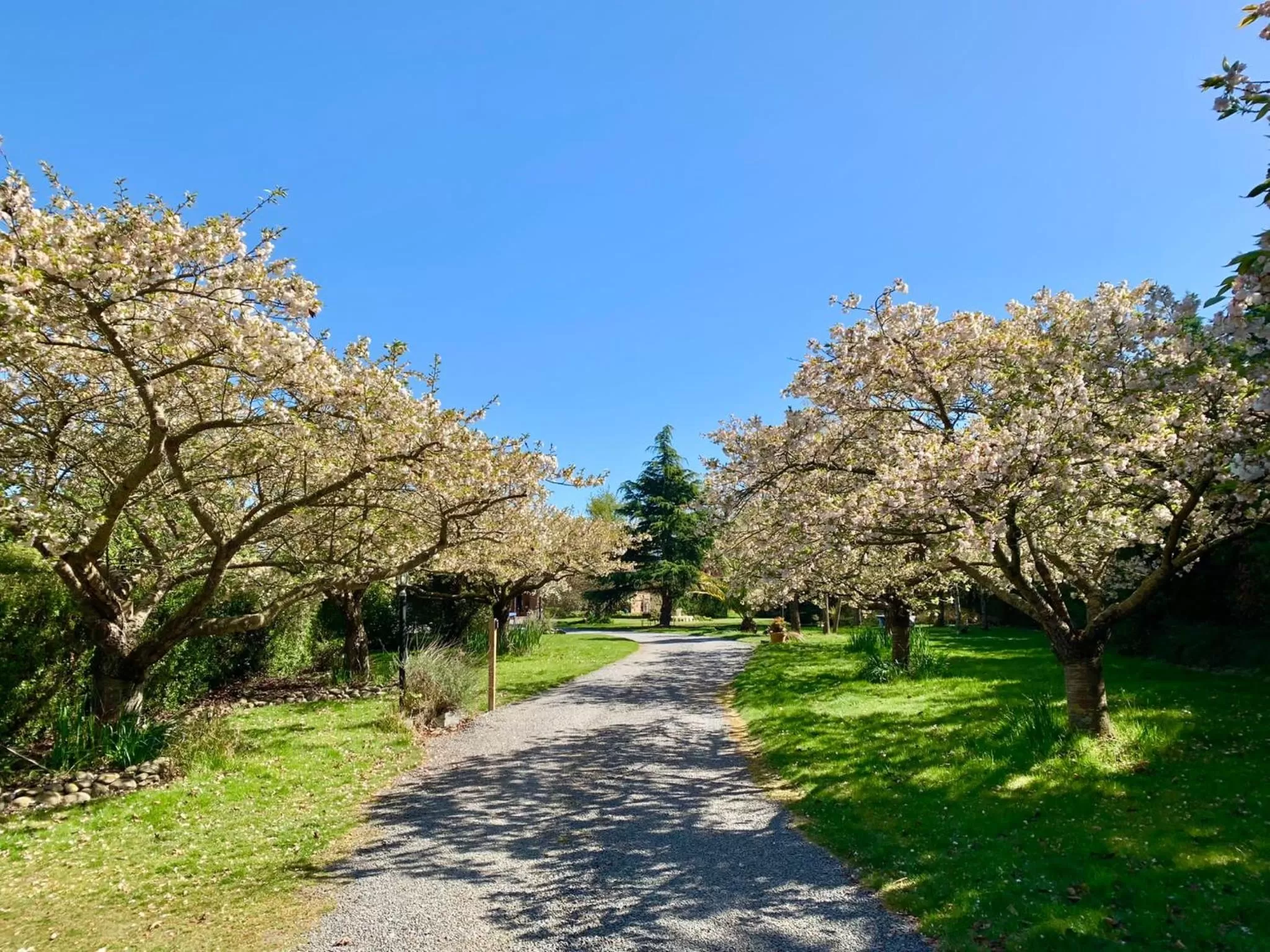 Spring in Newlands Bed and Breakfast