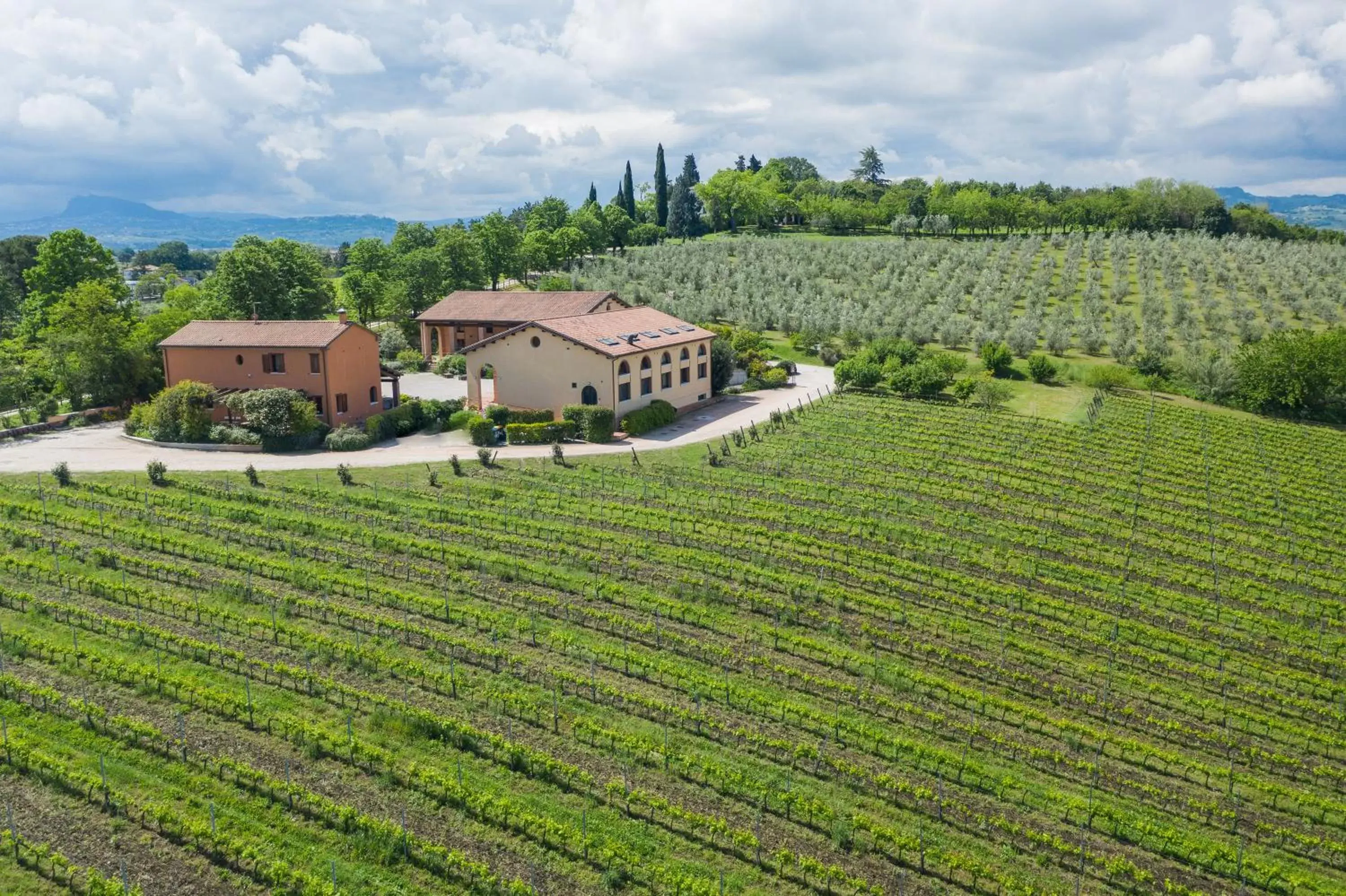 Bird's-eye View in Collina dei Poeti