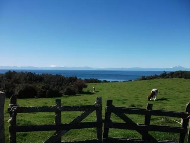 Garden in El Coo Lodge