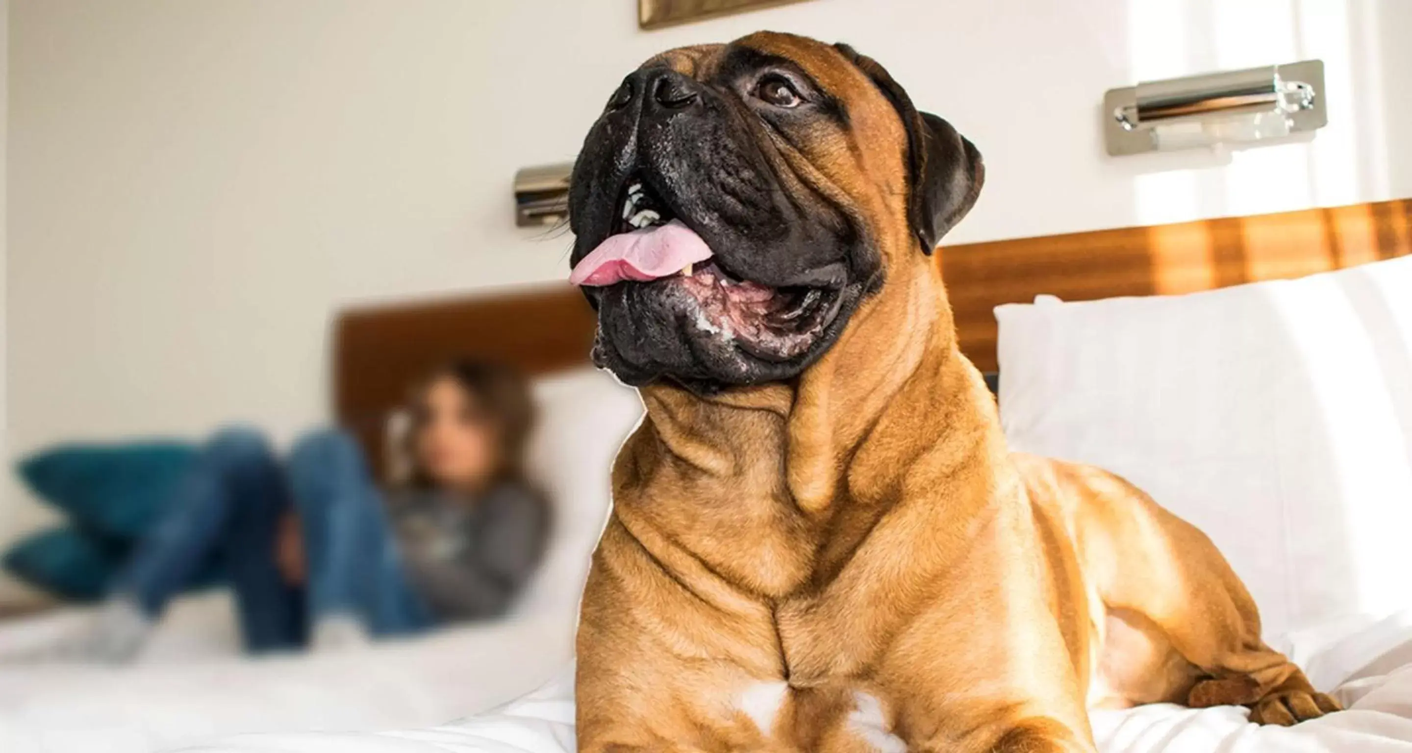 Photo of the whole room, Pets in Best Western Gustaf Froding Hotel & Konferens