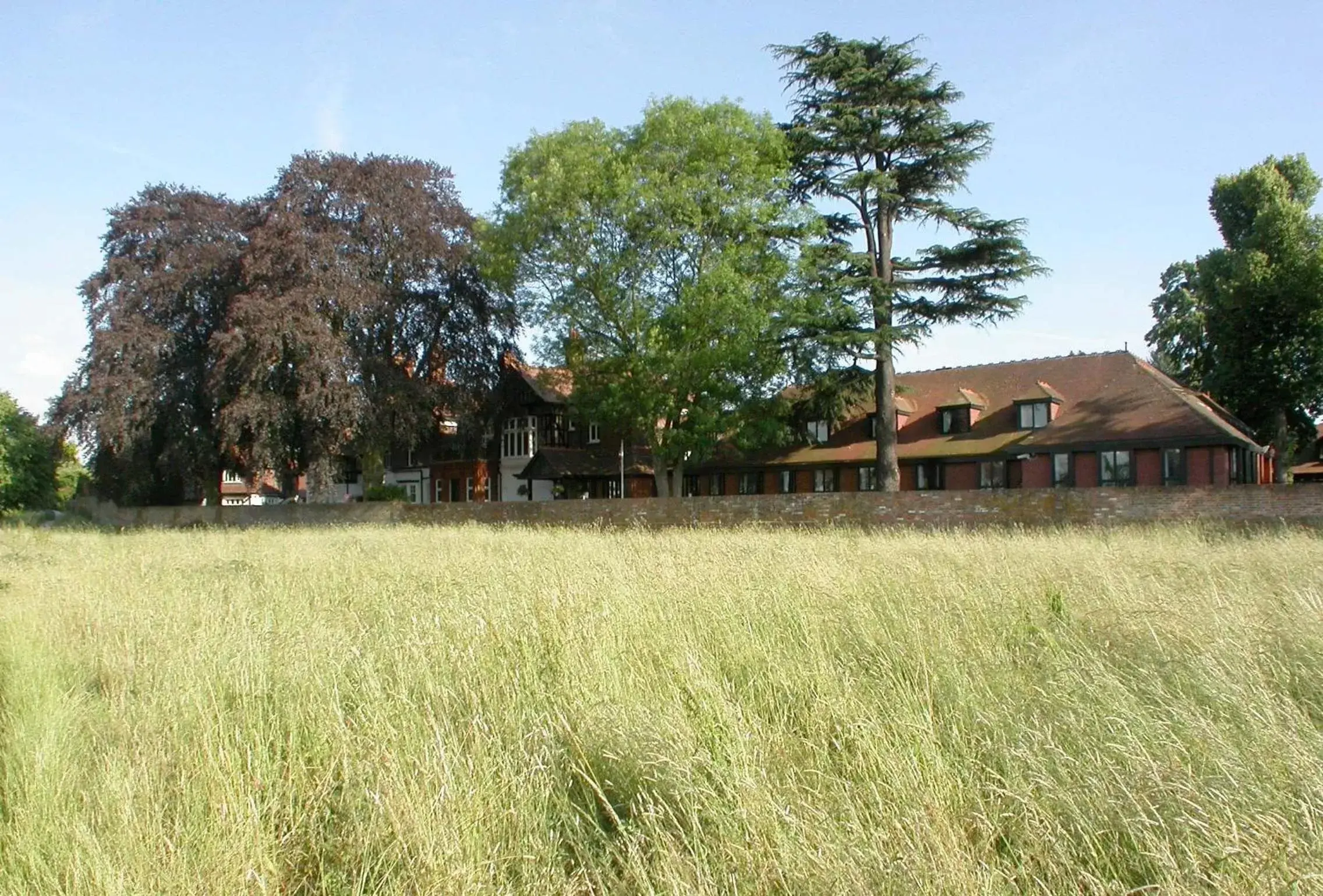 Natural landscape, Property Building in CIM Business Centre