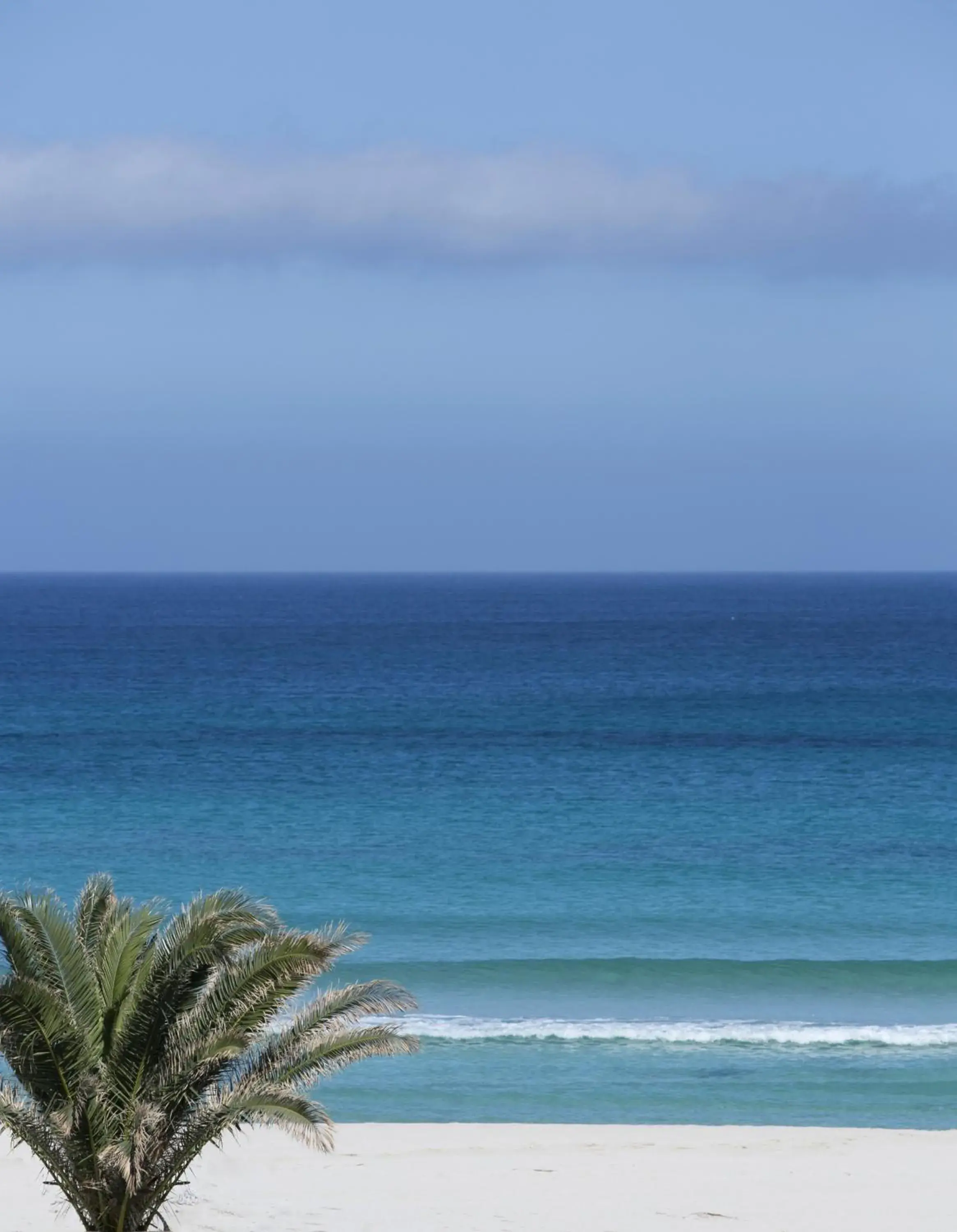 Area and facilities, Sea View in Hotel Perla Gaia