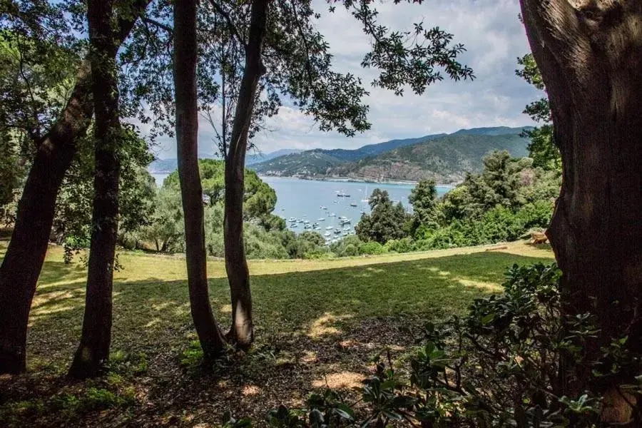 Garden view in Grand Hotel Dei Castelli