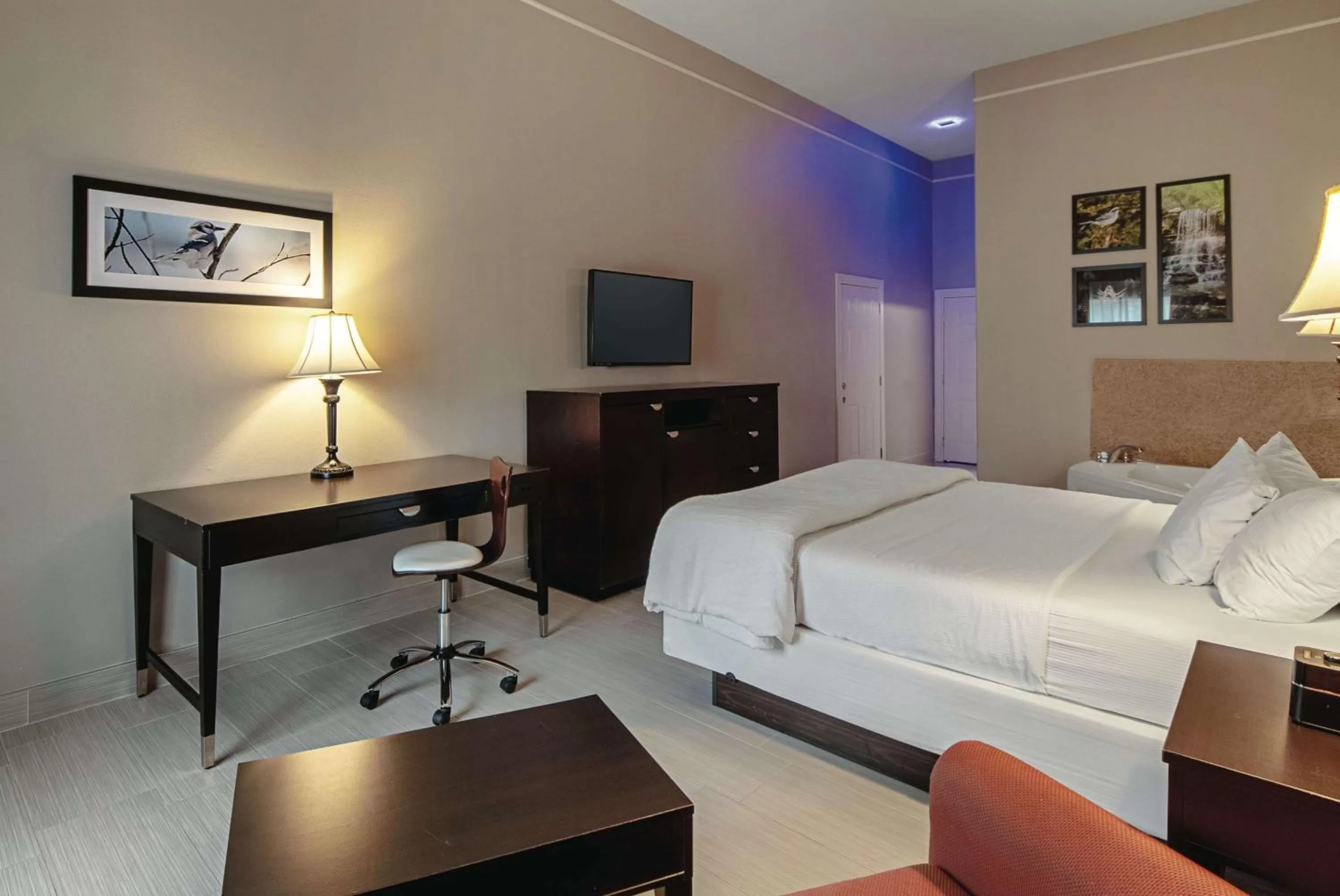 Photo of the whole room, Bed in La Quinta by Wyndham Alamo-McAllen East