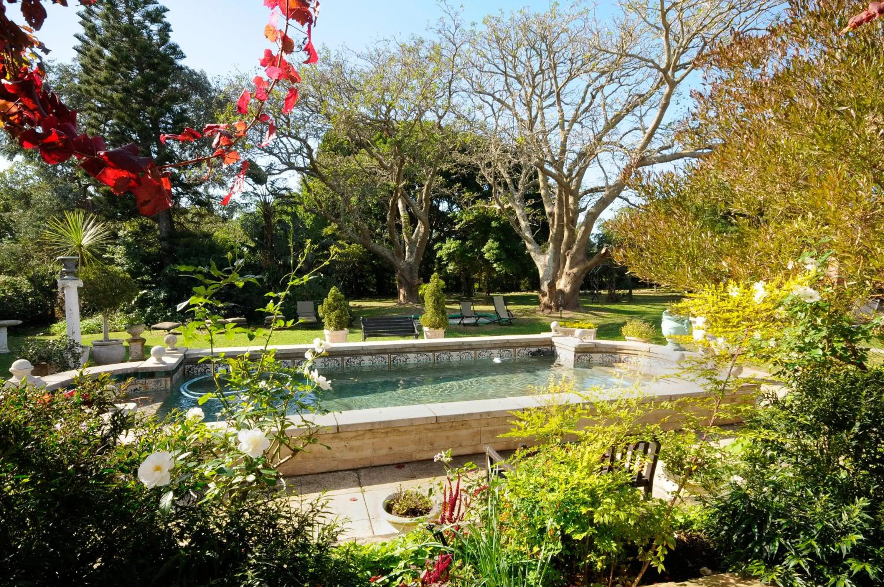 Day, Swimming Pool in Forest Hall Guest House