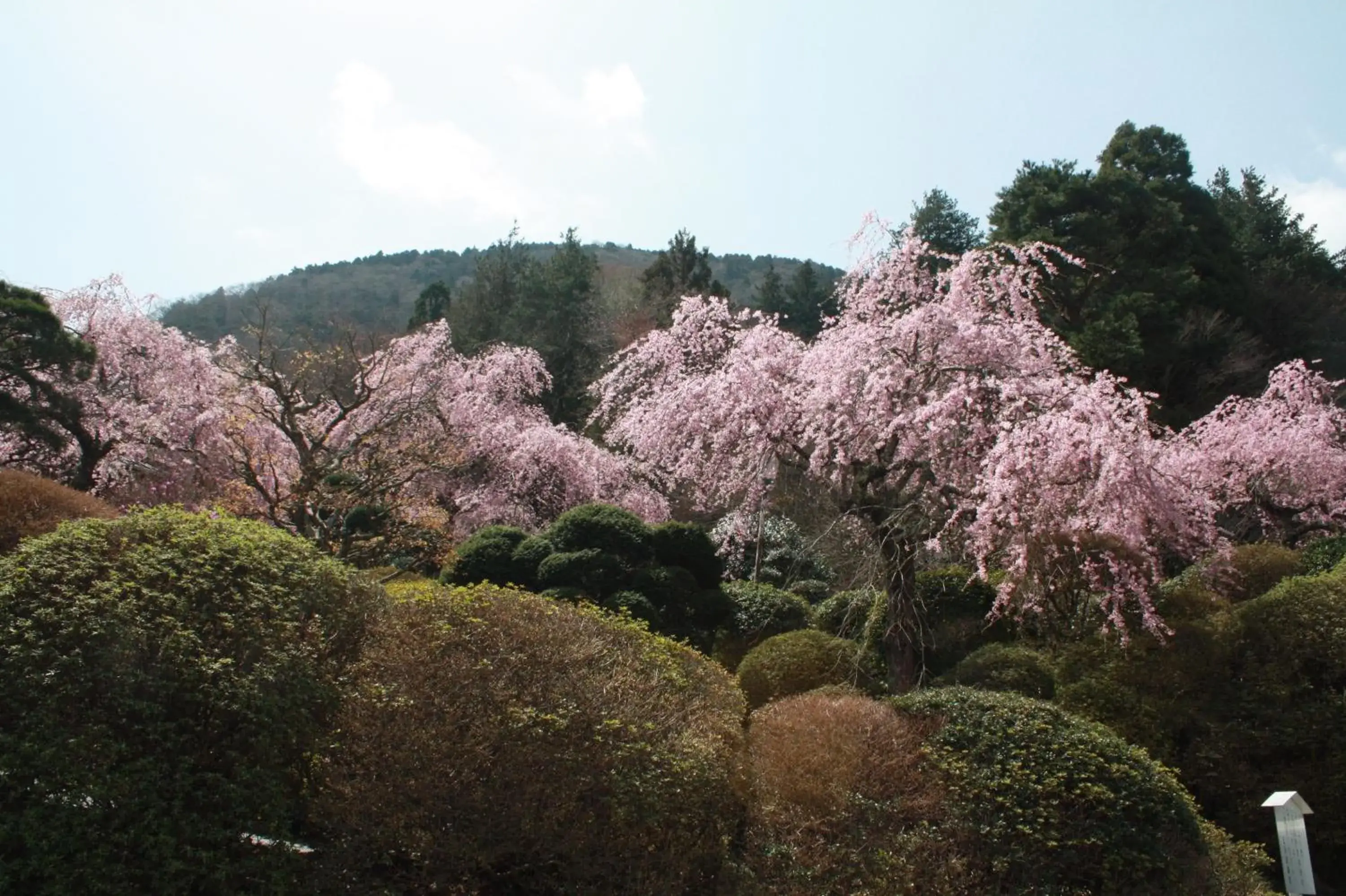 Day in Hakone Kowakien Miyamafurin