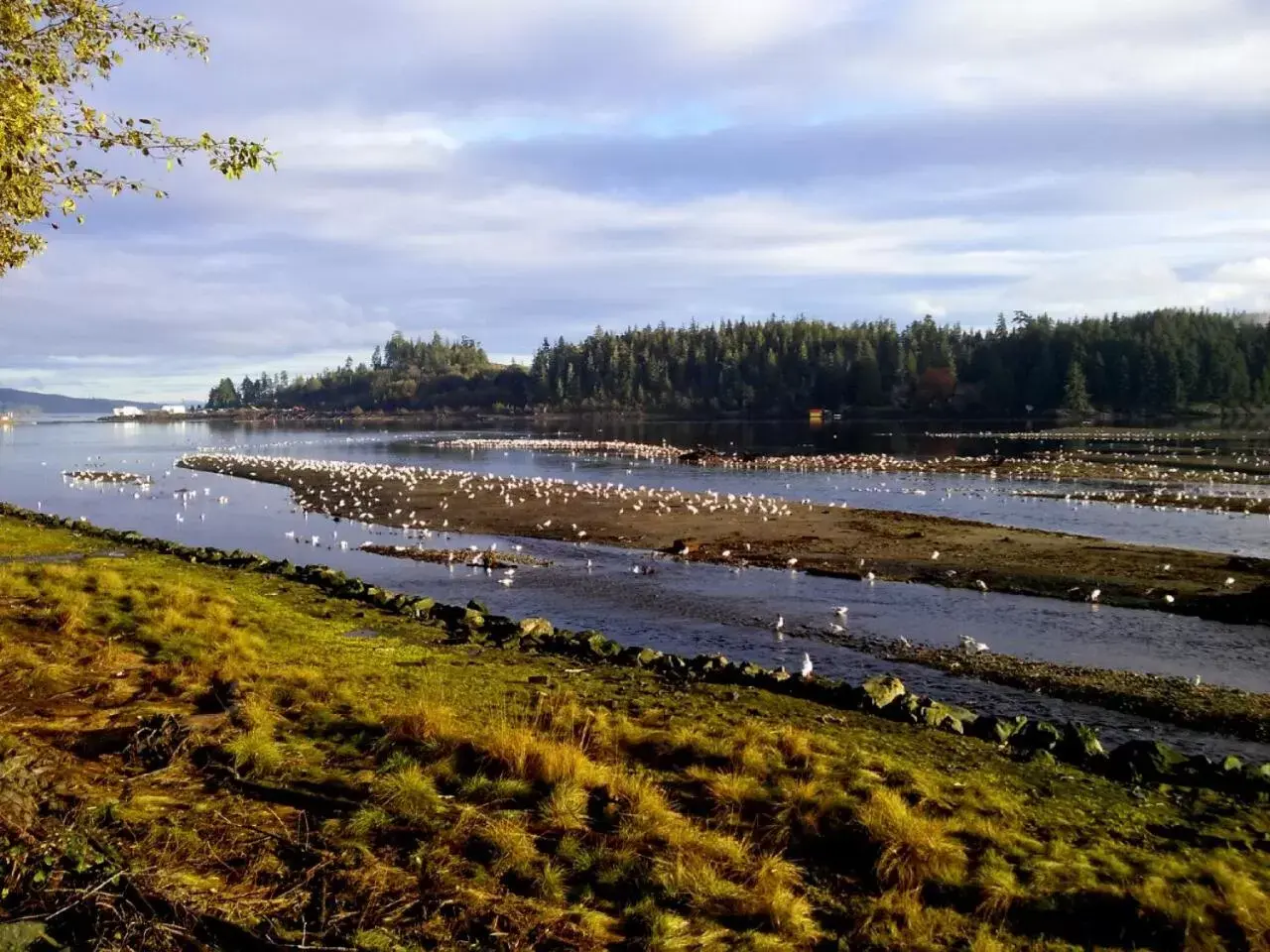 Natural landscape in Pioneer Inn by the River