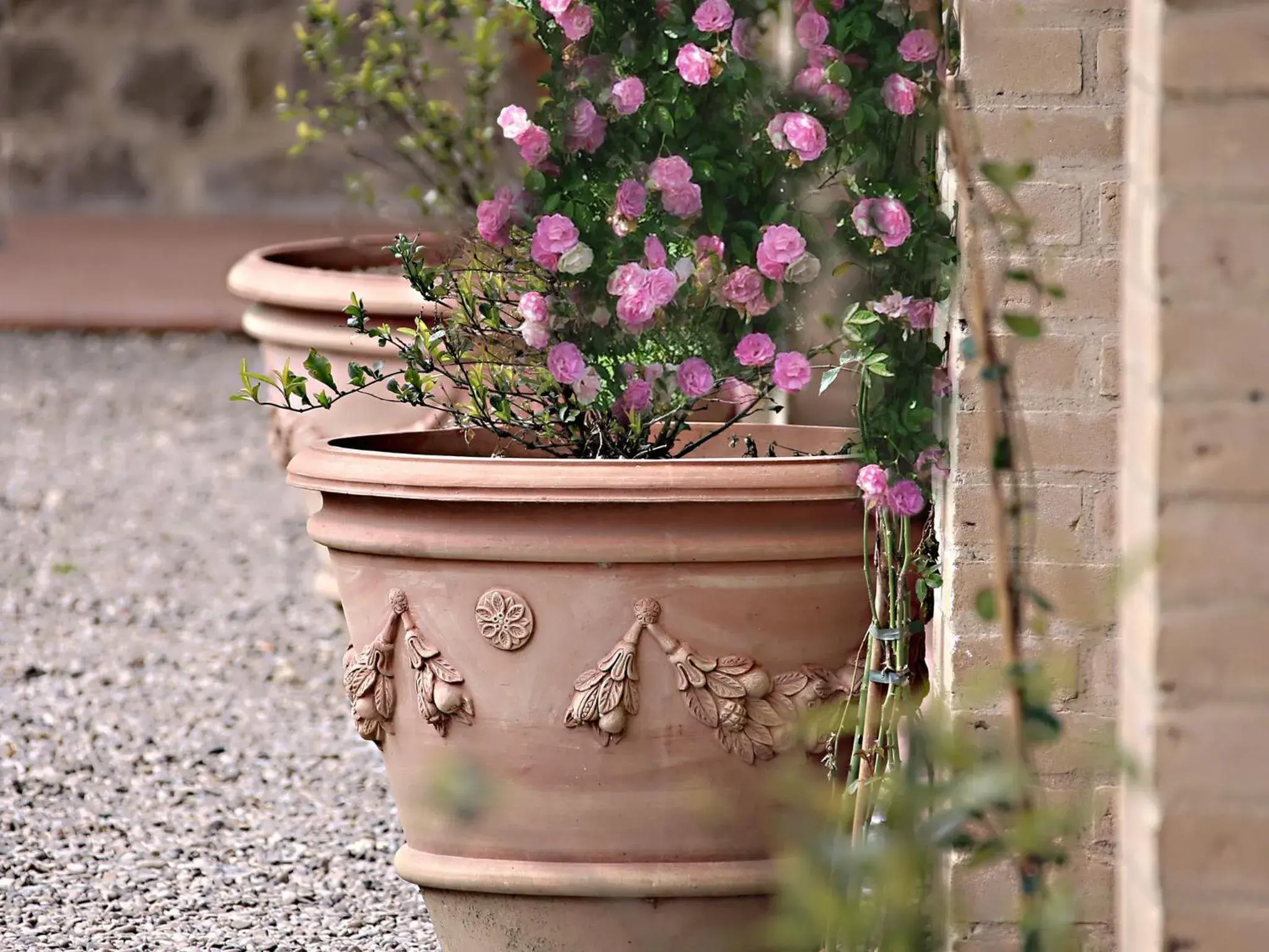 Garden in Si Montalcino Hotel & Restaurant