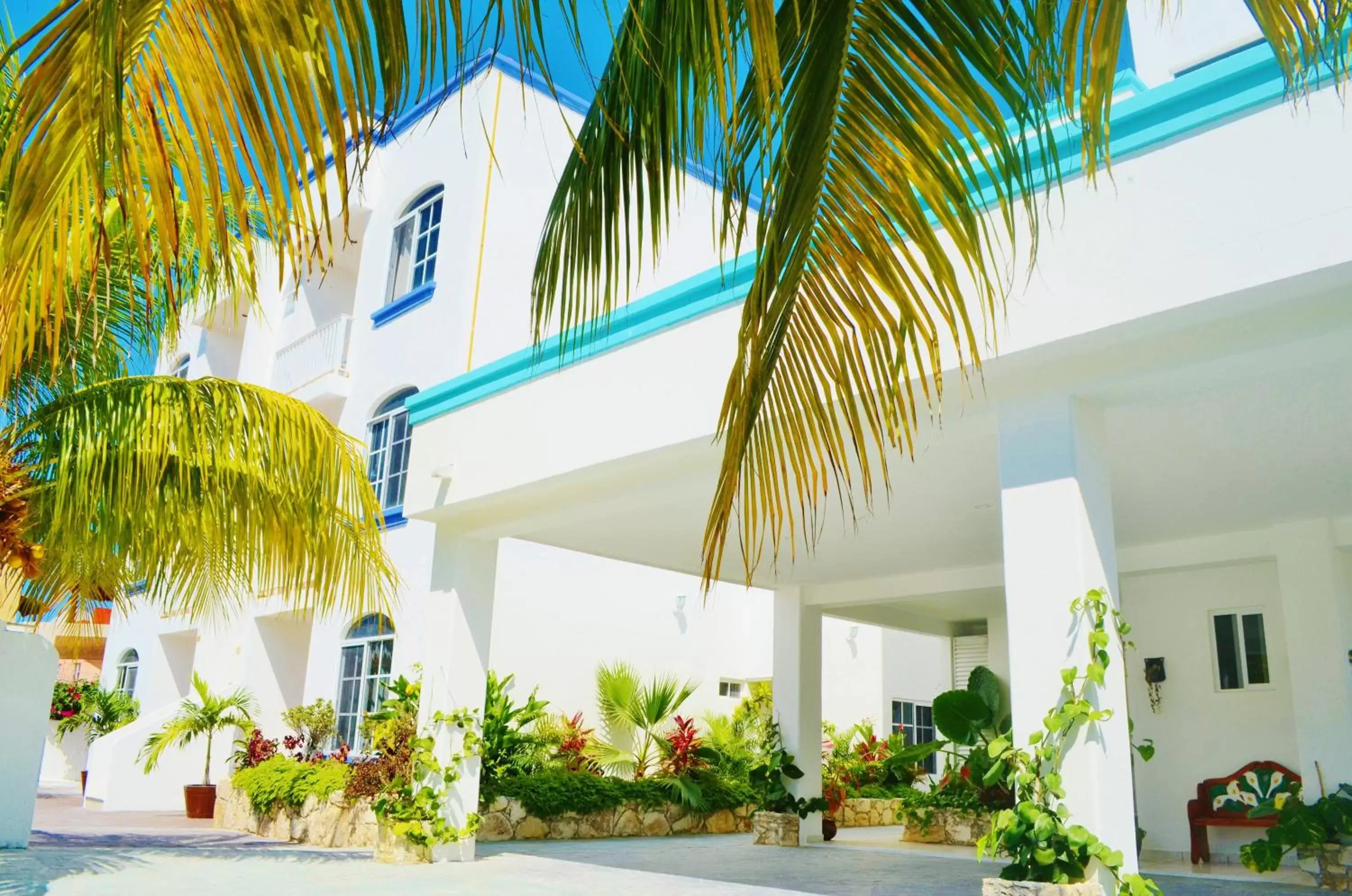 Property Building in Corales Suites