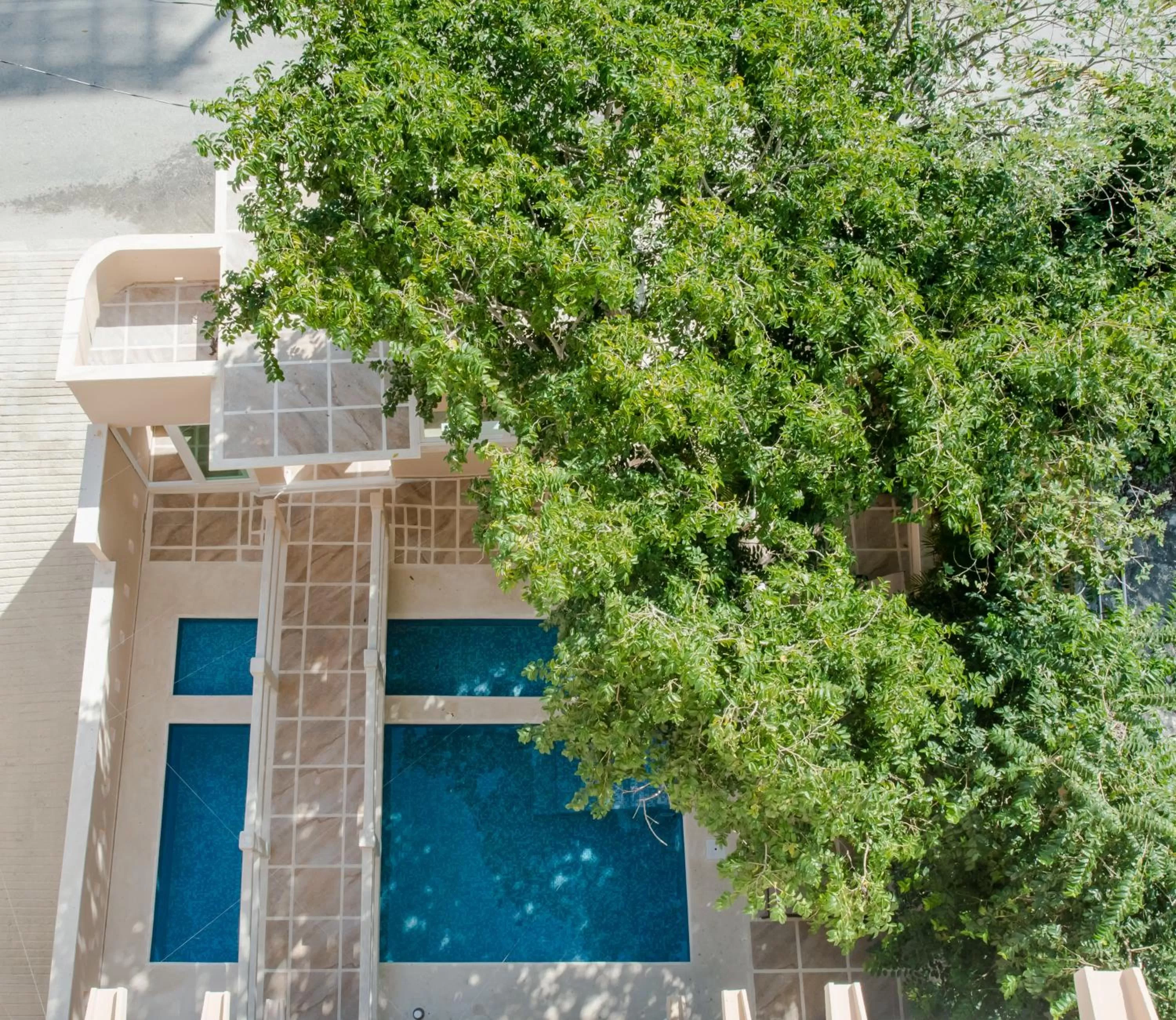 Property building in Casa Leo