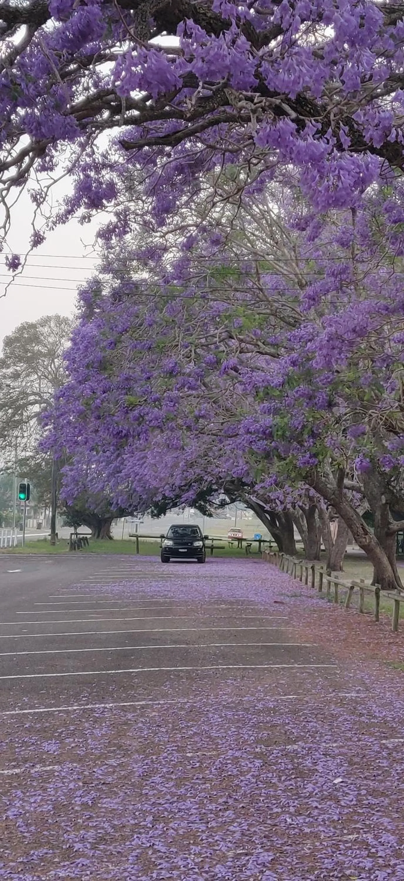 Nearby landmark in Sir Francis Drake
