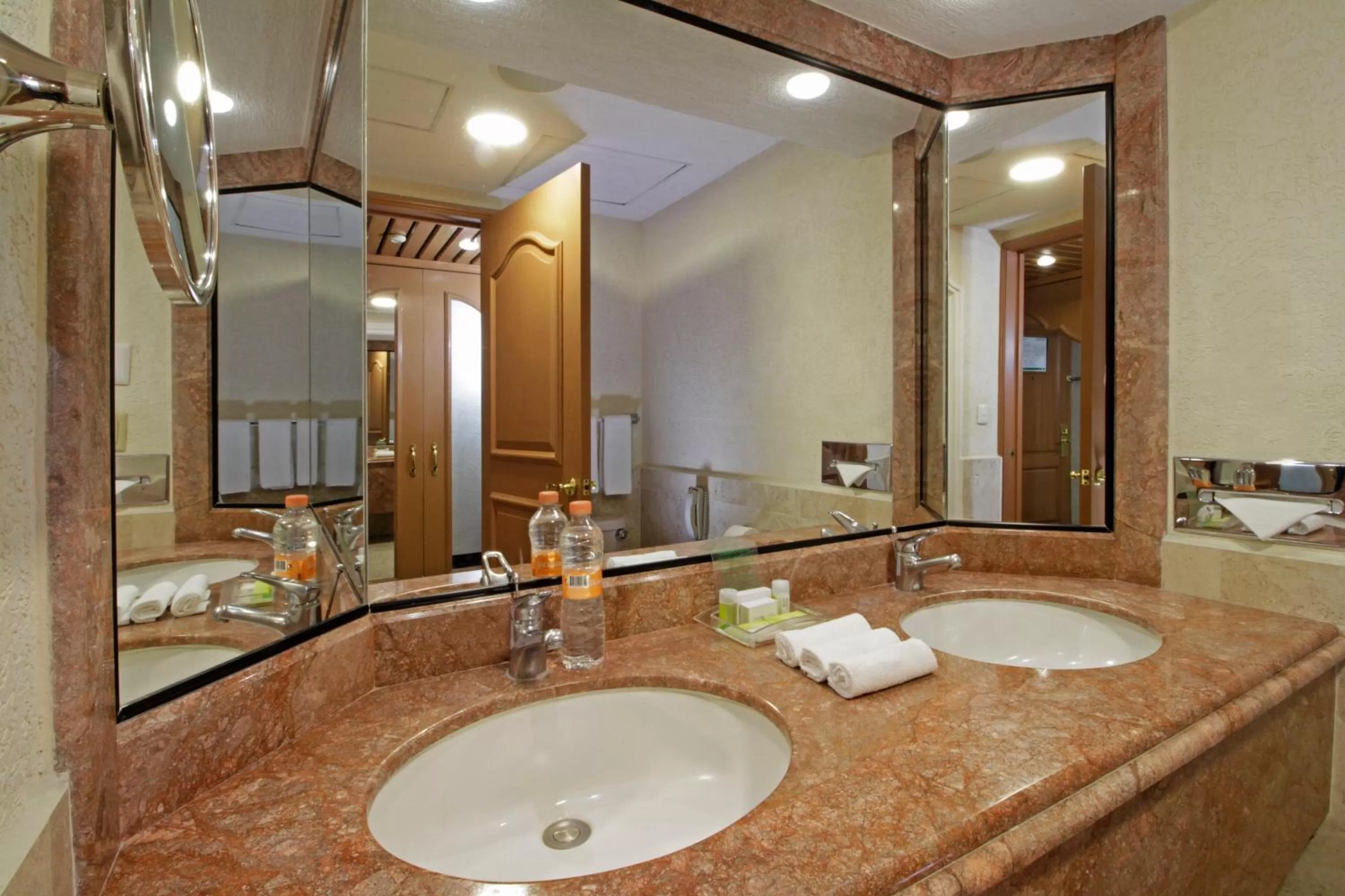 Bathroom in Holiday Inn Queretaro Centro Historico by IHG