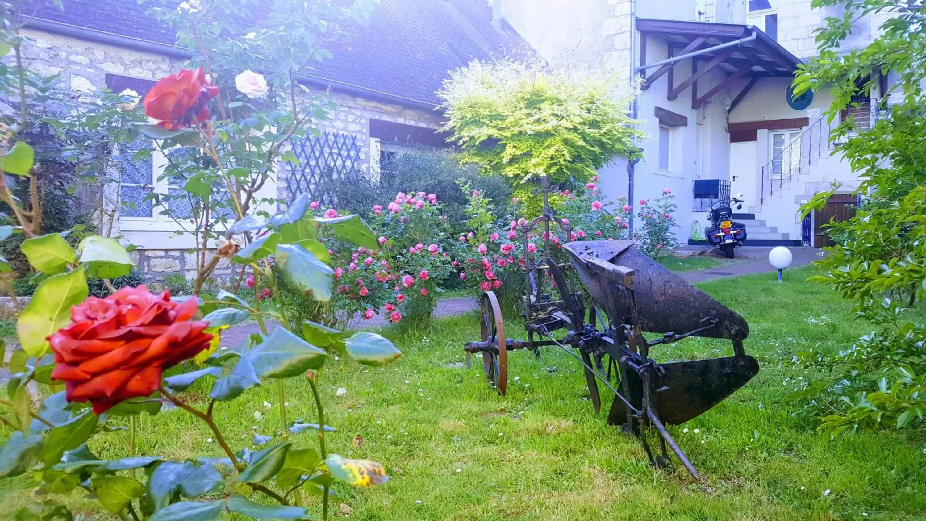 Garden view, Garden in Hotel Le Bon Laboureur