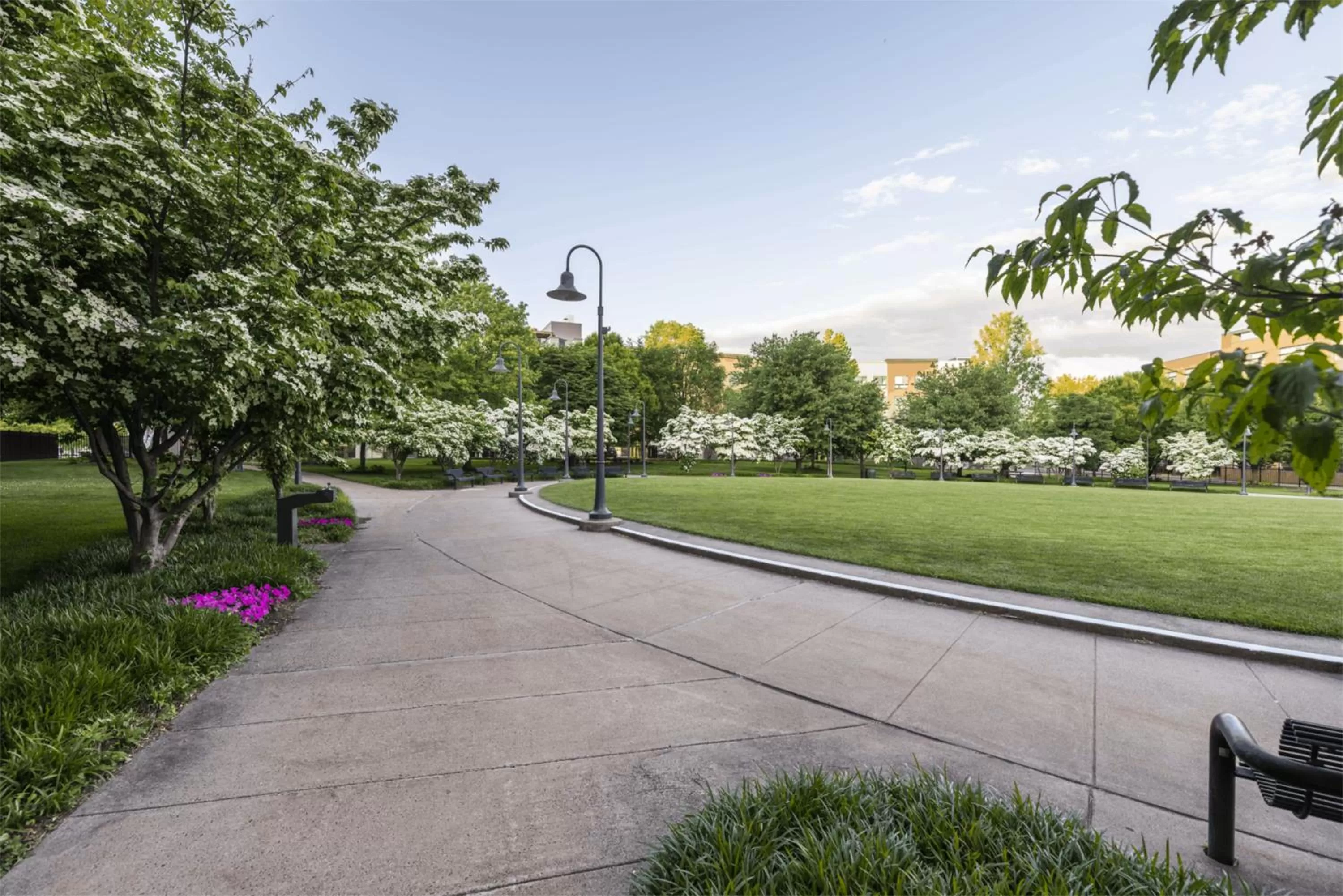 Natural landscape in Luxury Furnished Apartments by Hyatus Downtown at Yale