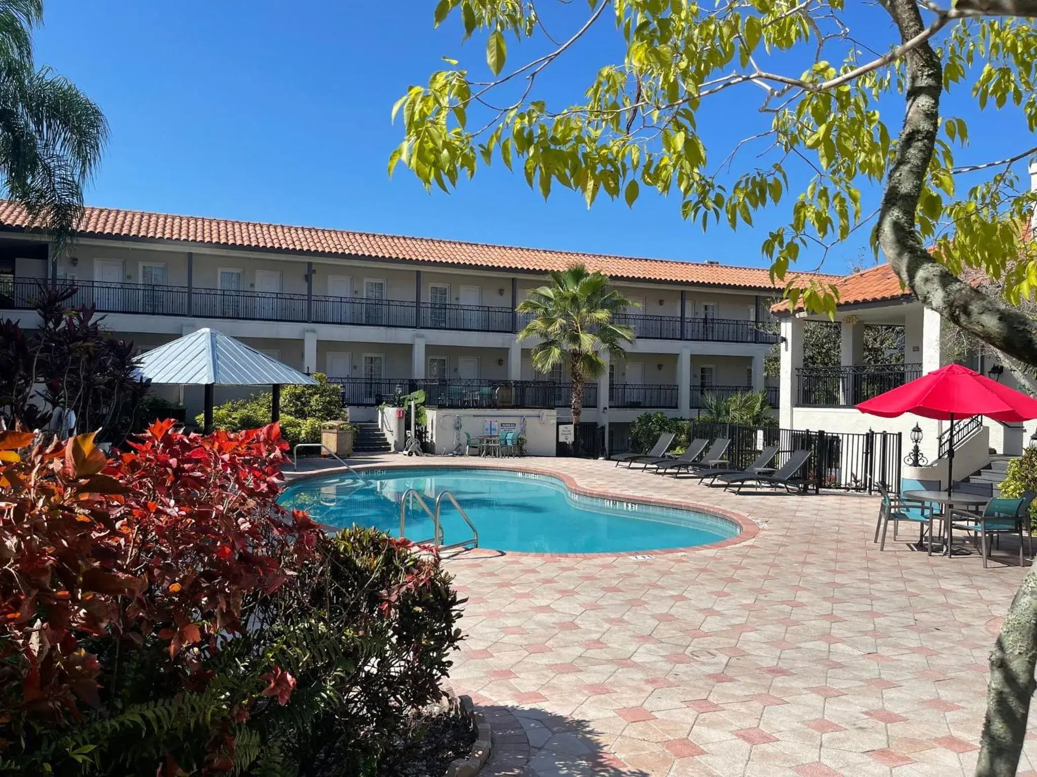 Swimming Pool in Red Roof Inn PLUS & Suites Tampa