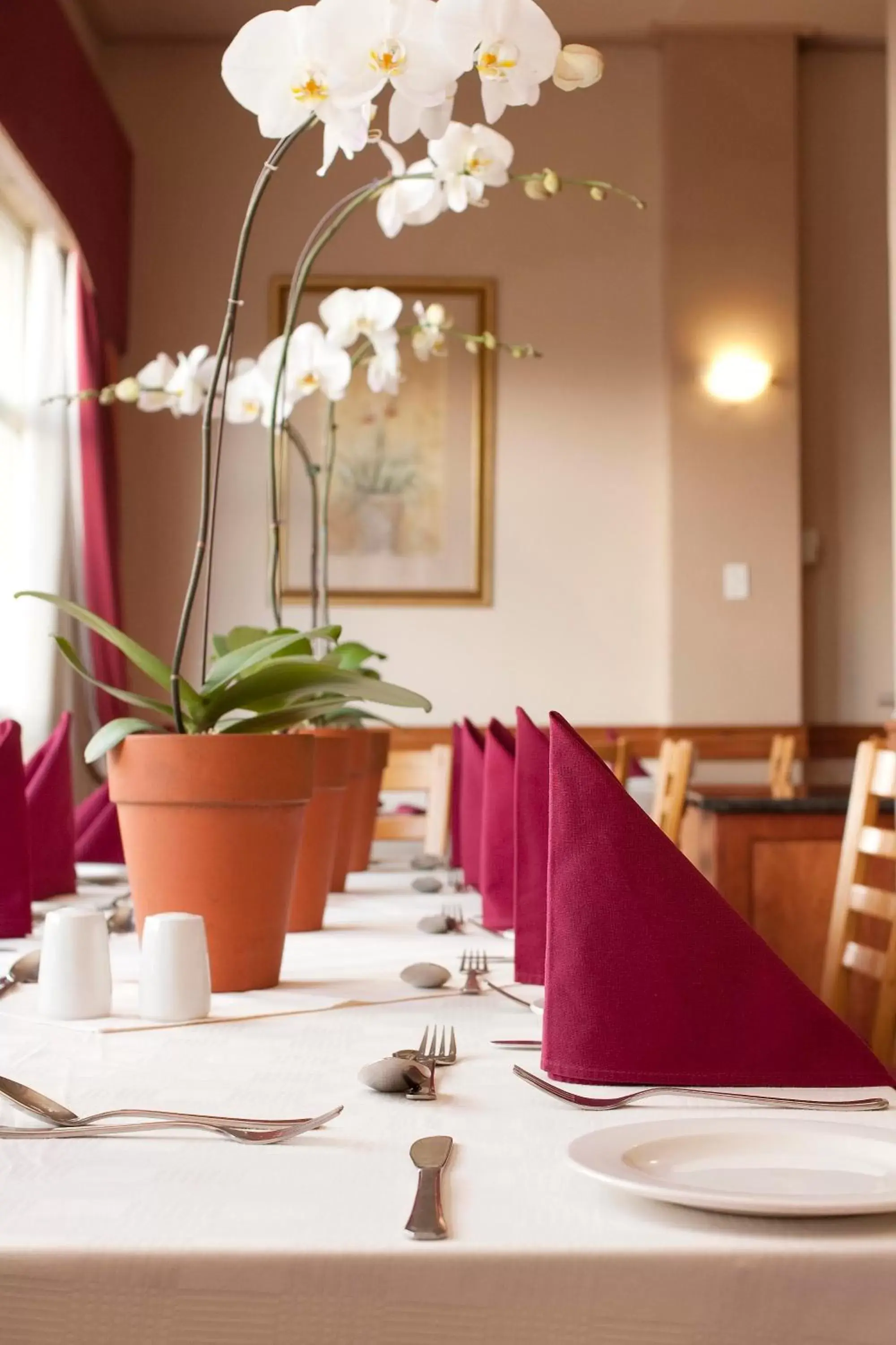 Restaurant/places to eat in Apollo Hotel Restaurant/places to eat in Apollo Hotel