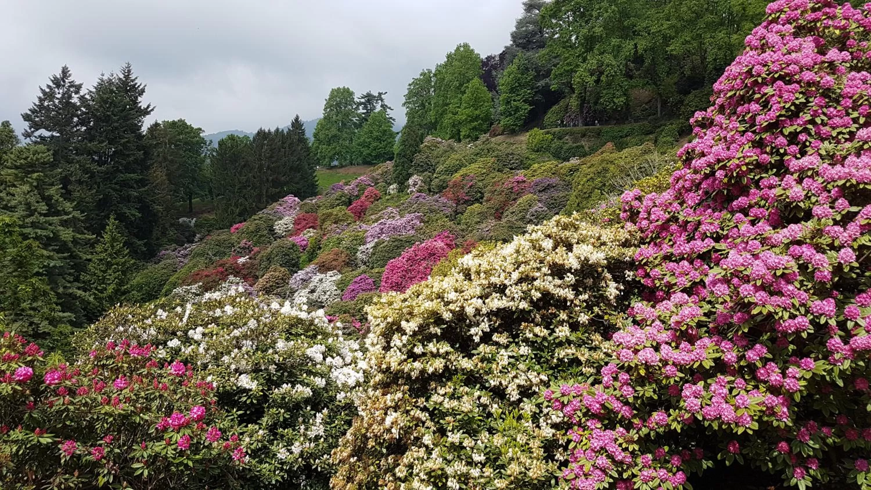 Other in B&B Villa Tavallini