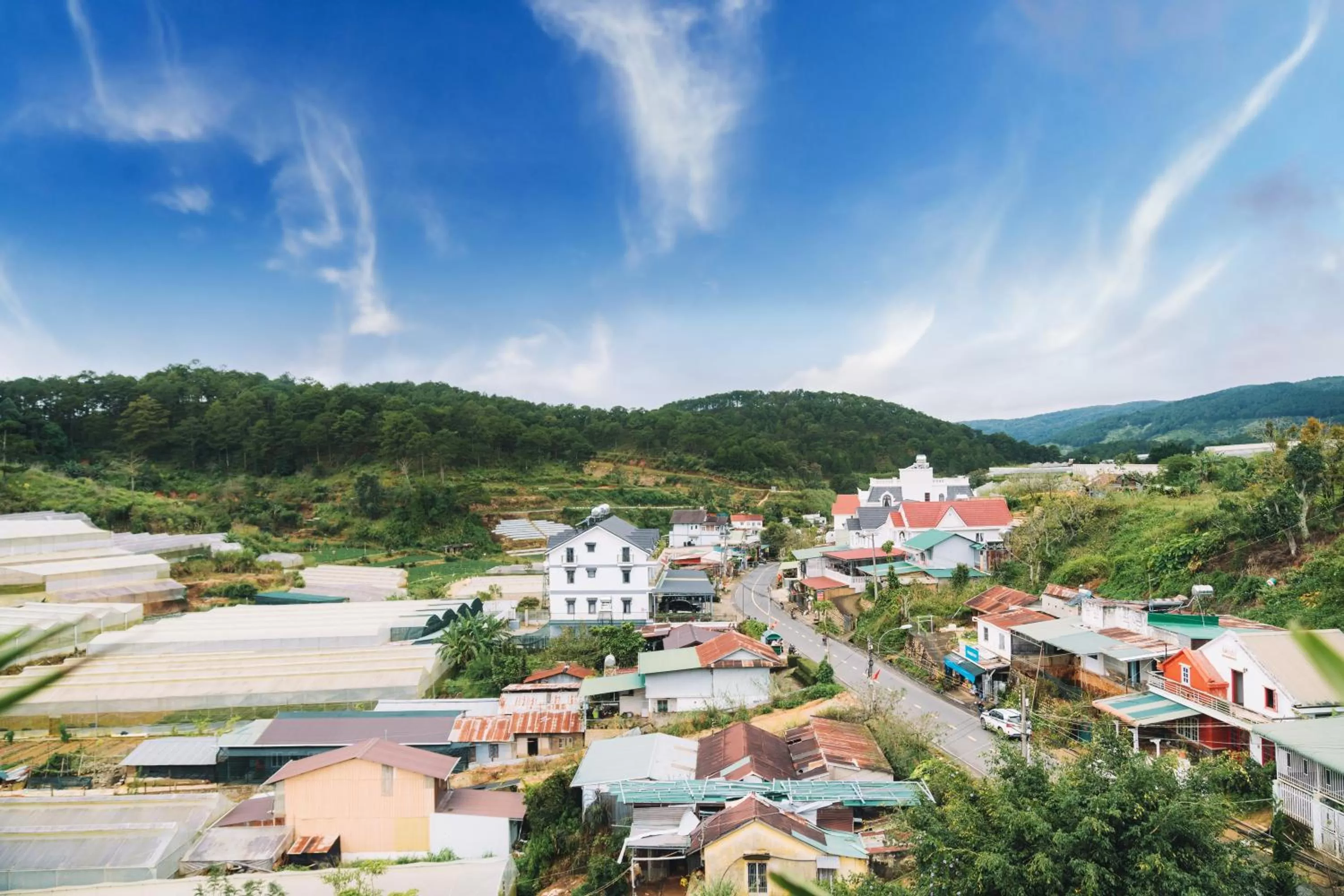 View (from property/room) in GREENECO DA LAT HOTEL - Khách sạn Green Eco Đà Lạt