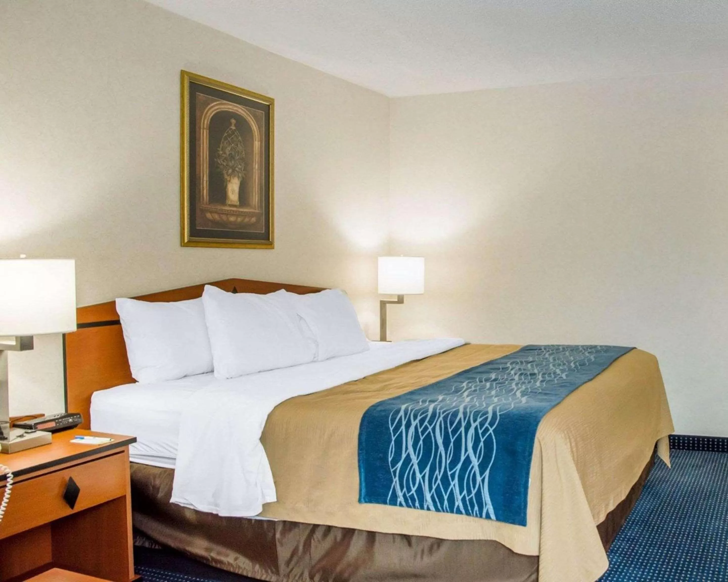 Photo of the whole room, Bed in Comfort Inn Piketon near Fairgrounds