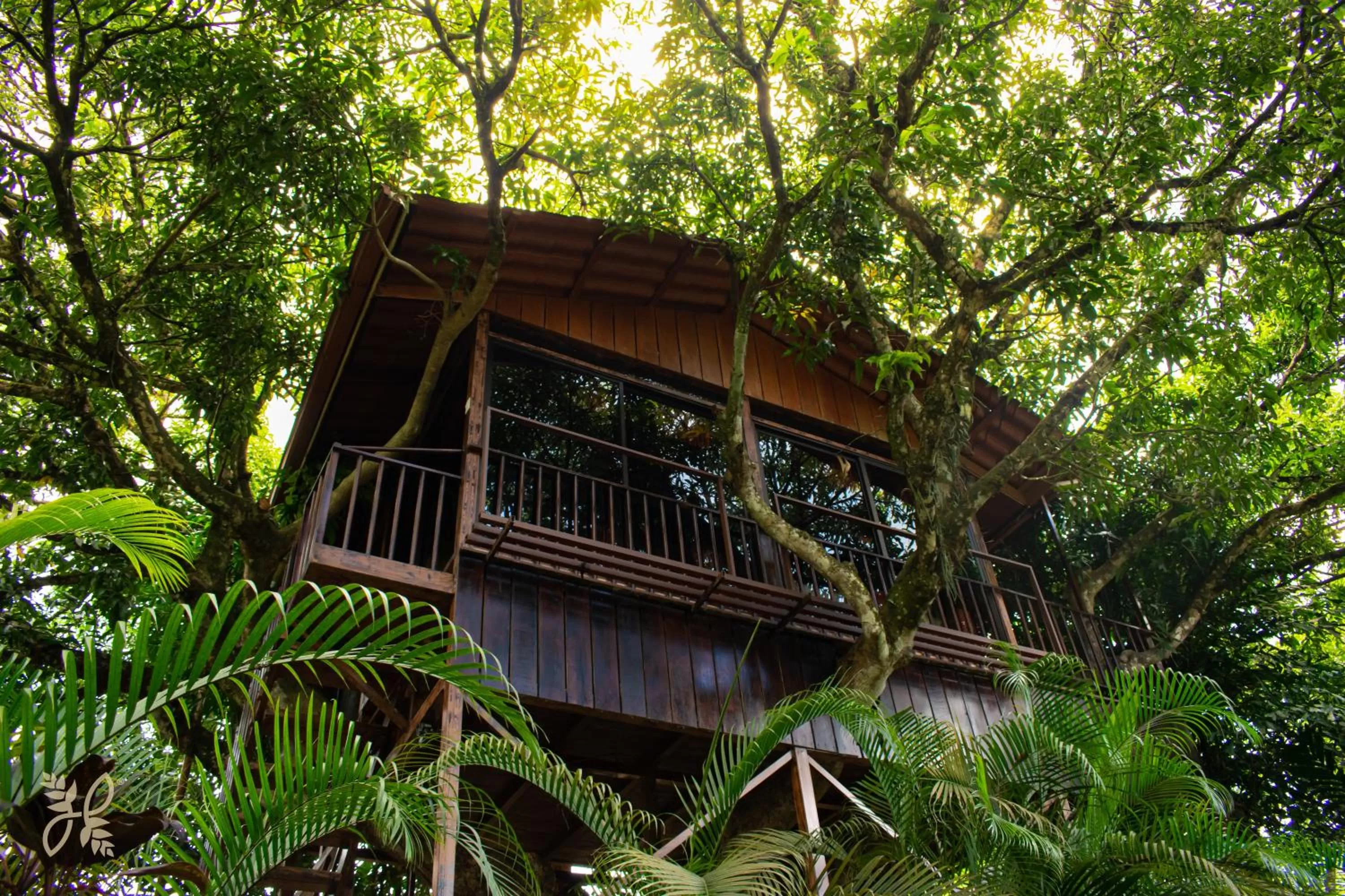 Spring in Hotel Heliconias Nature Inn & Hot Springs