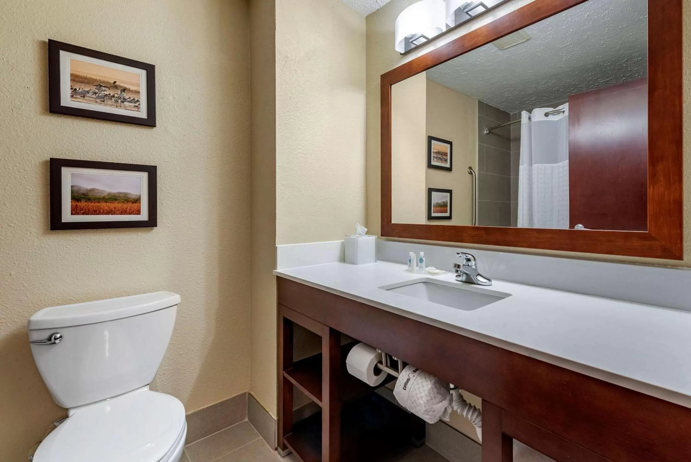 Bathroom in Comfort Inn Madison near Clifty Falls