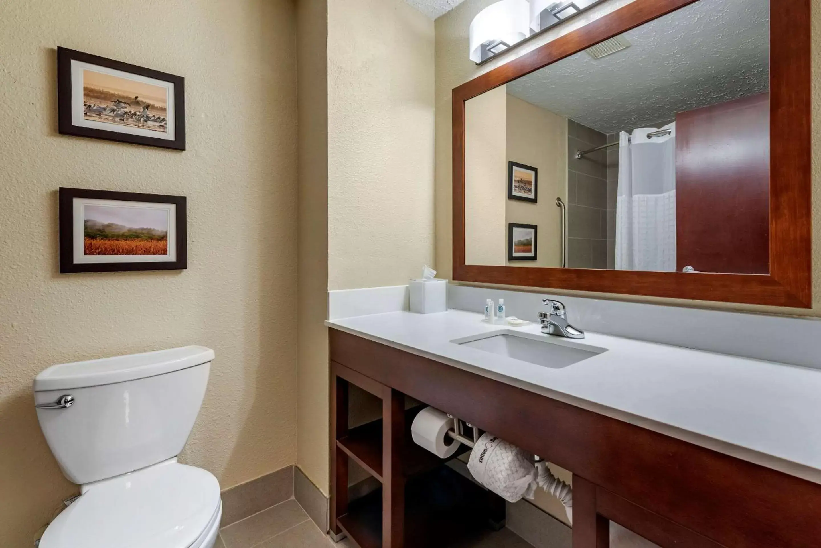 Bathroom in Comfort Inn Madison