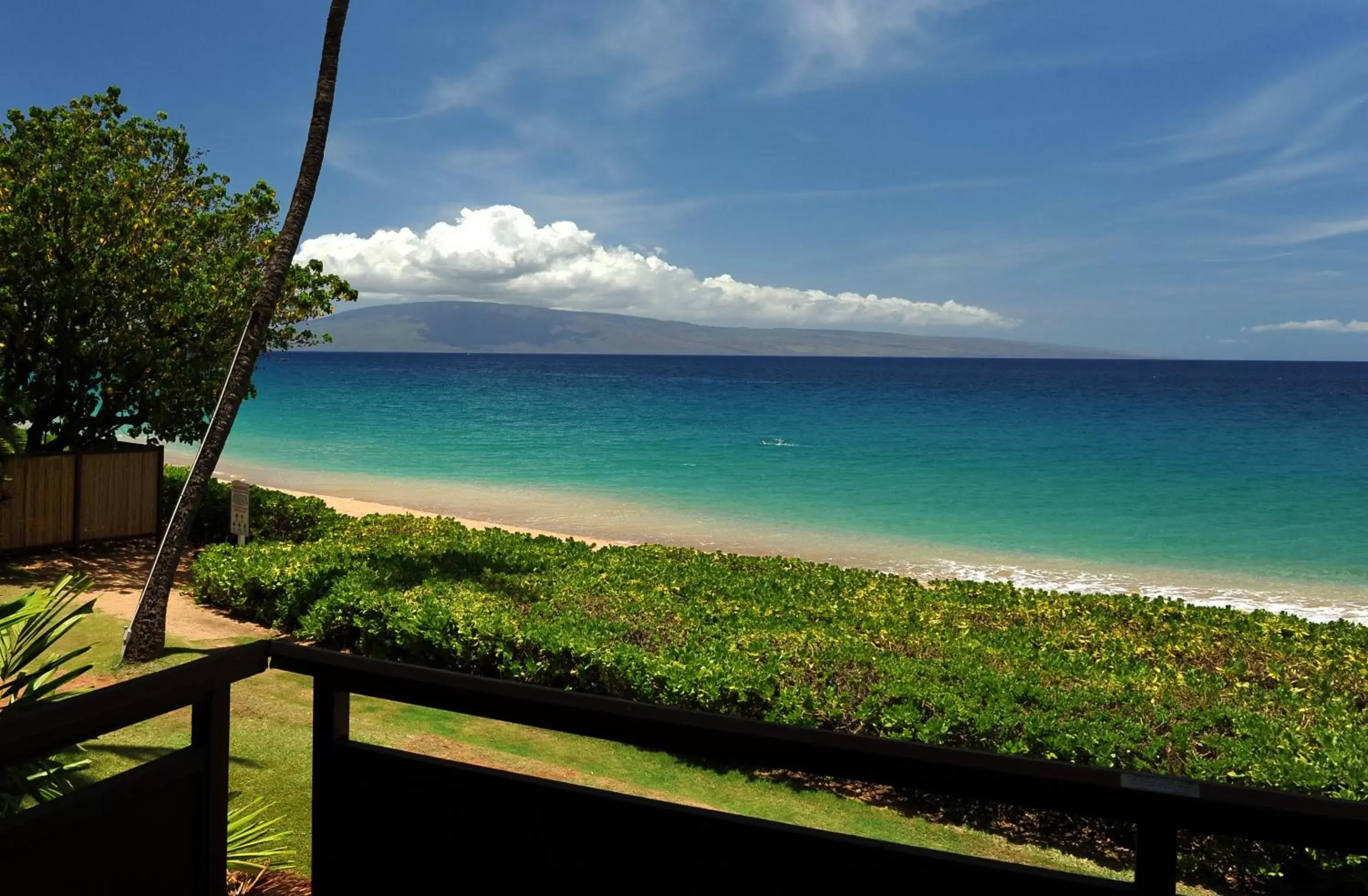 Sea View in Kaanapali Ocean Inn