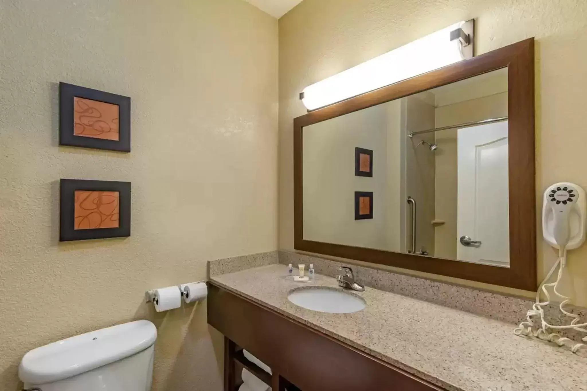 Bathroom in Comfort Suites Montgomery East Monticello Dr.