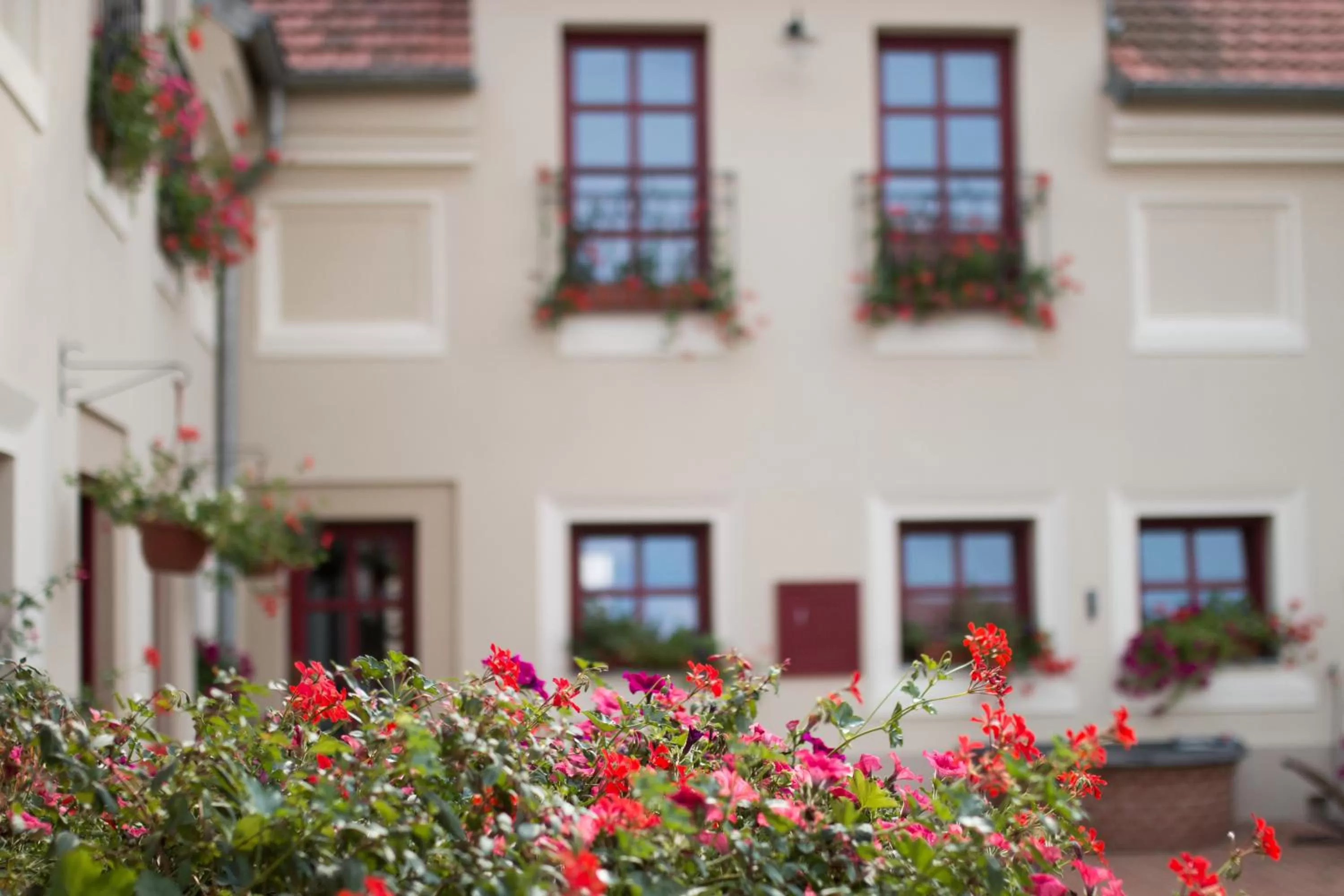 Facade/entrance in Hotel Dvur Hoffmeister